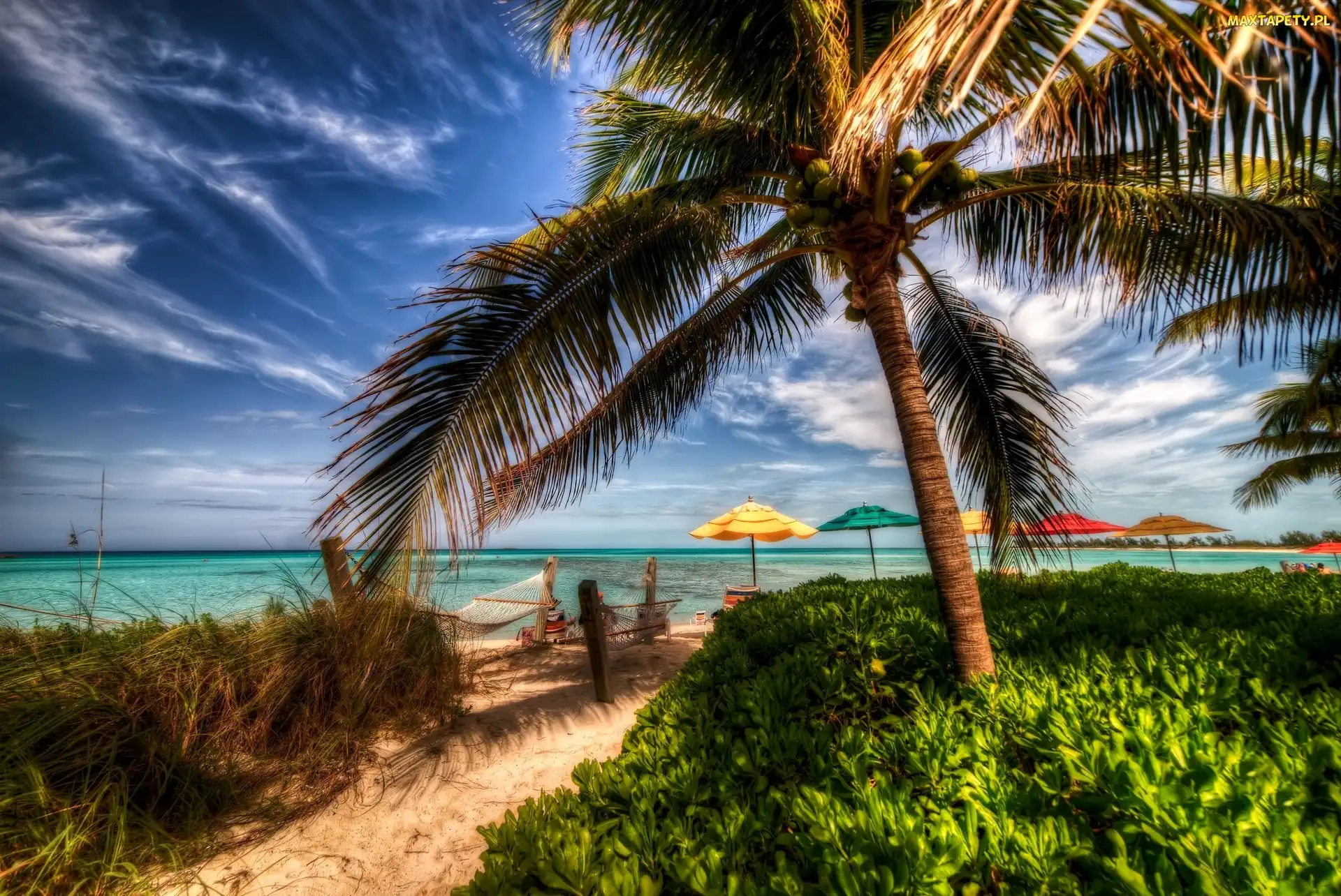 Palmy, Plaża, HDR, Ocean, Tropiki, Wakacje, Parasole