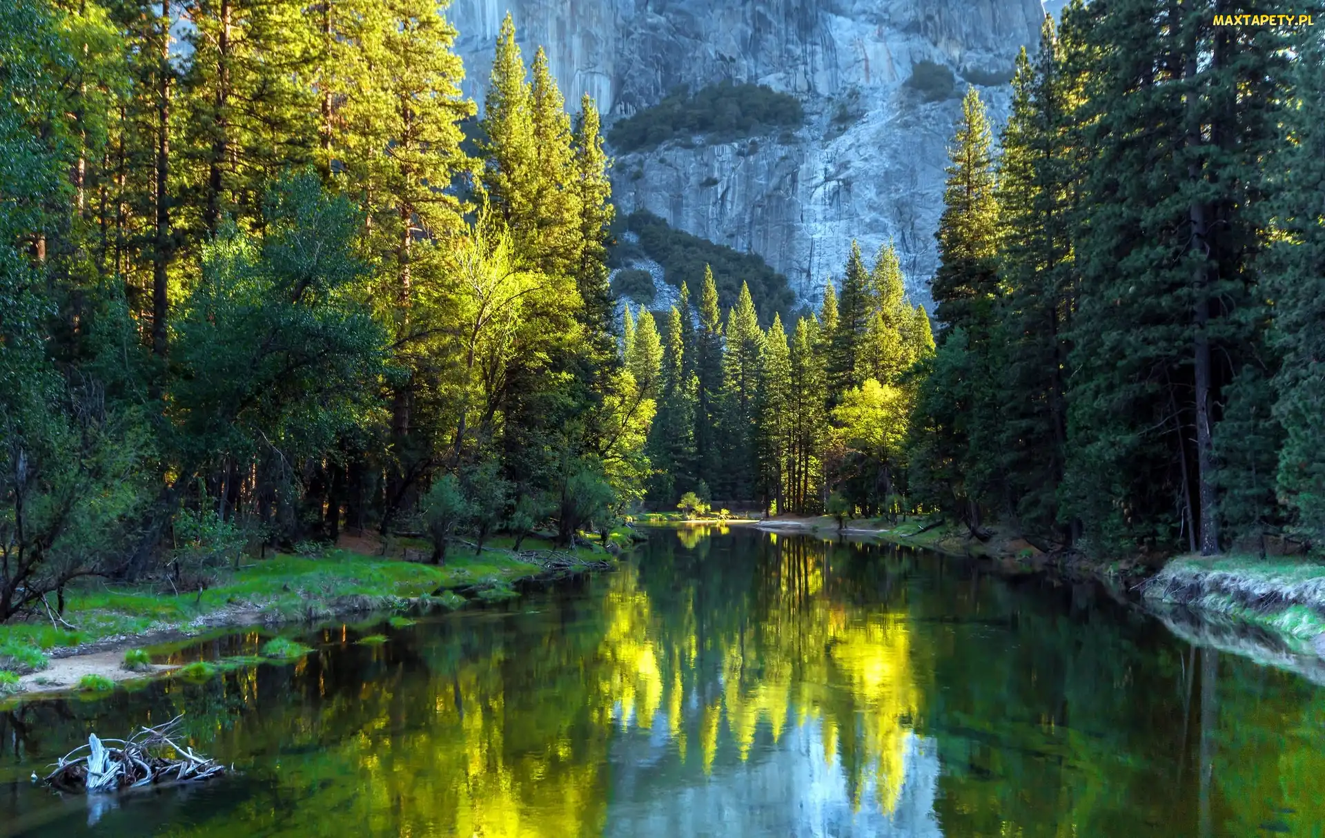 Rzeka, Lasy, Stan Kalifornia, Stany Zjednoczone, Park Narodowy Yosemite, Góry