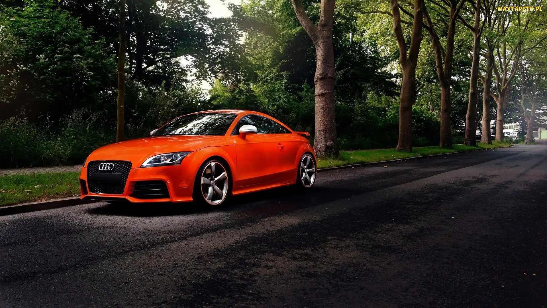 Las, Droga, Pomarańczowe, Audi TT