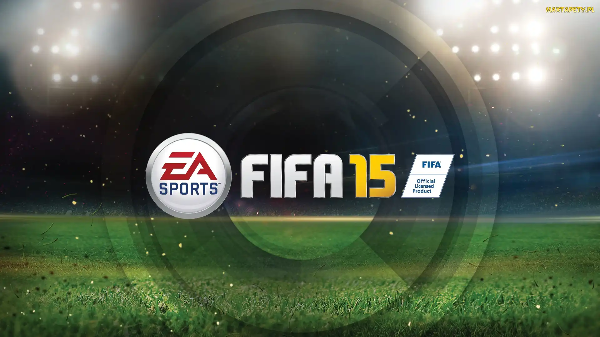 Logo, Fifa 2015