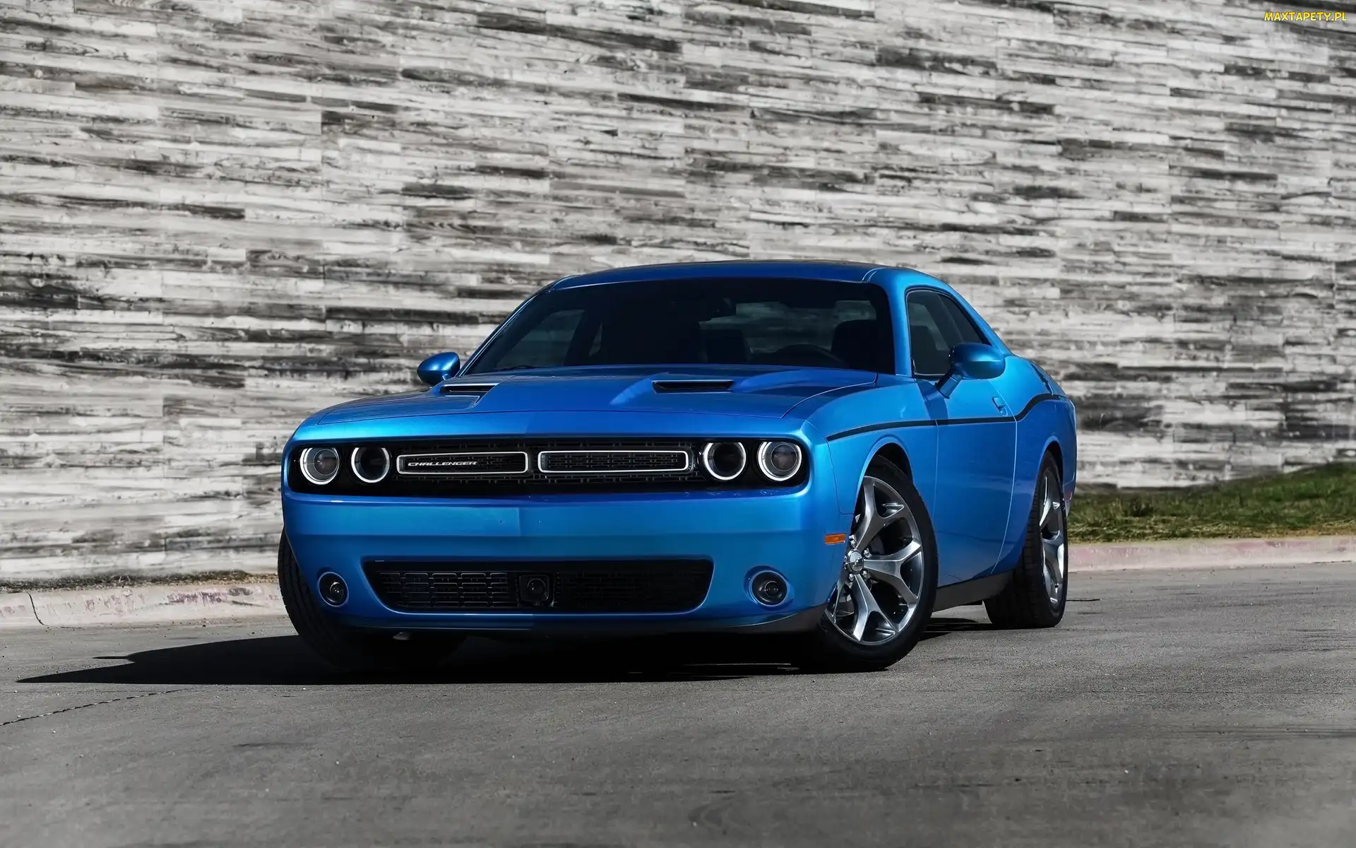 Dodge, Challenger, Niebieski