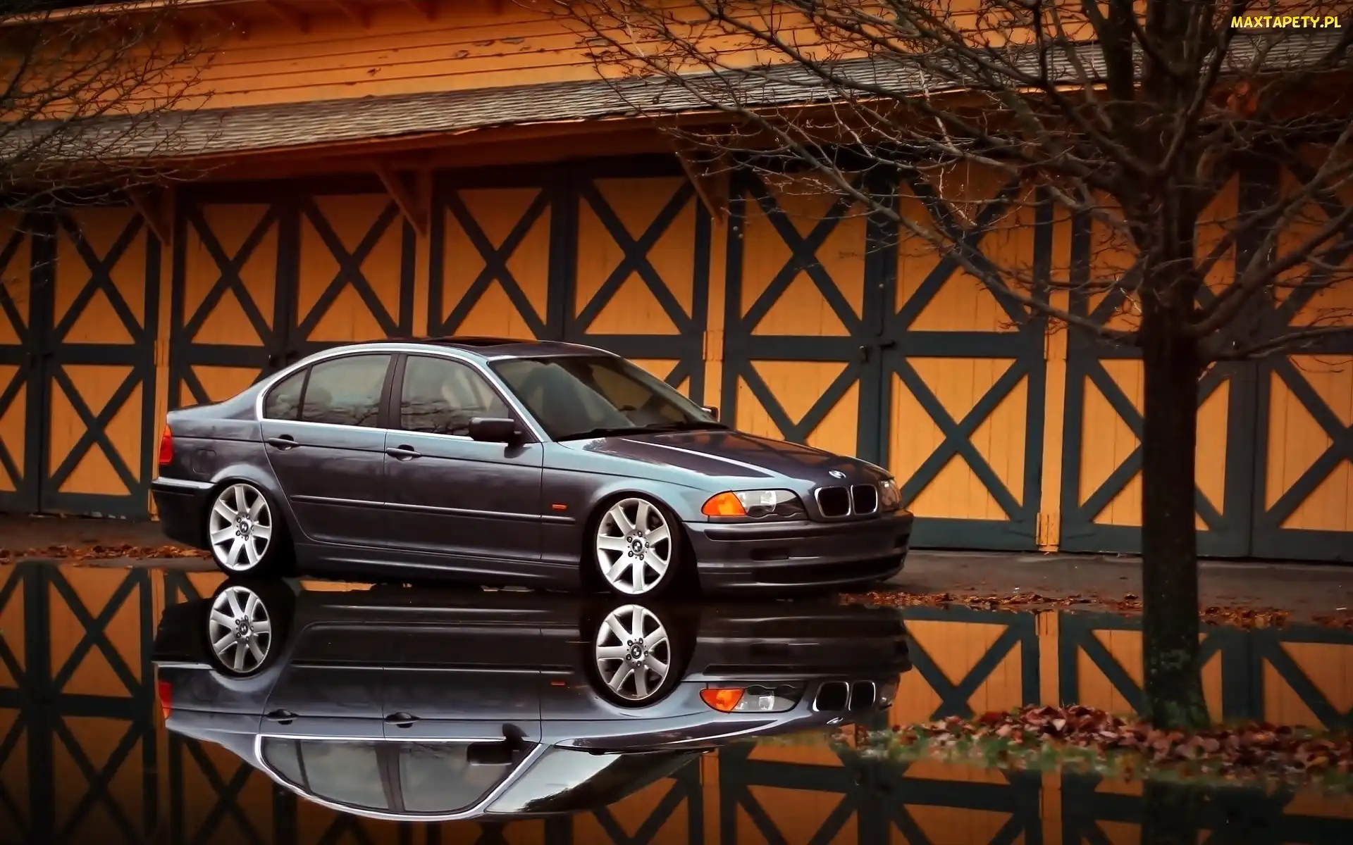 Odbicie, E46, Samochód, BMW