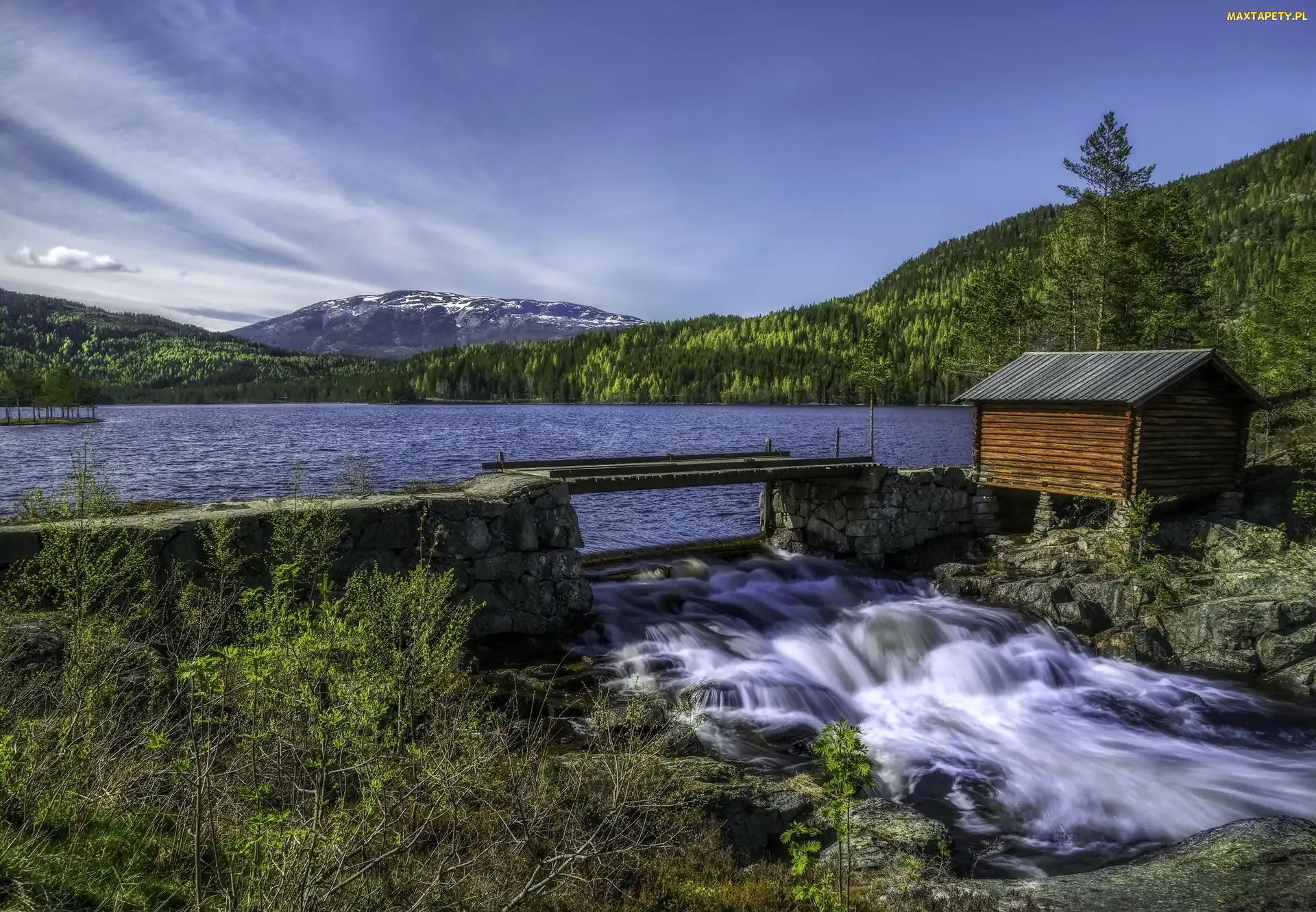 Szopa, Norwegia, Lasy, Jezioro, Góry