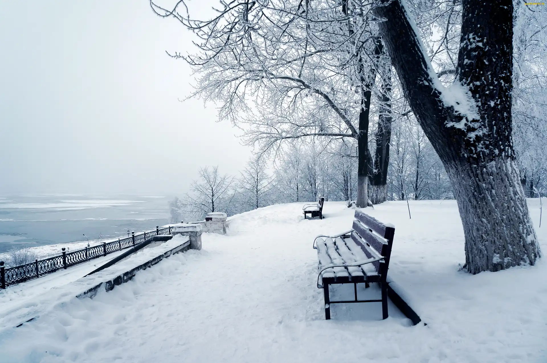 Ławka, Jezioro, Park