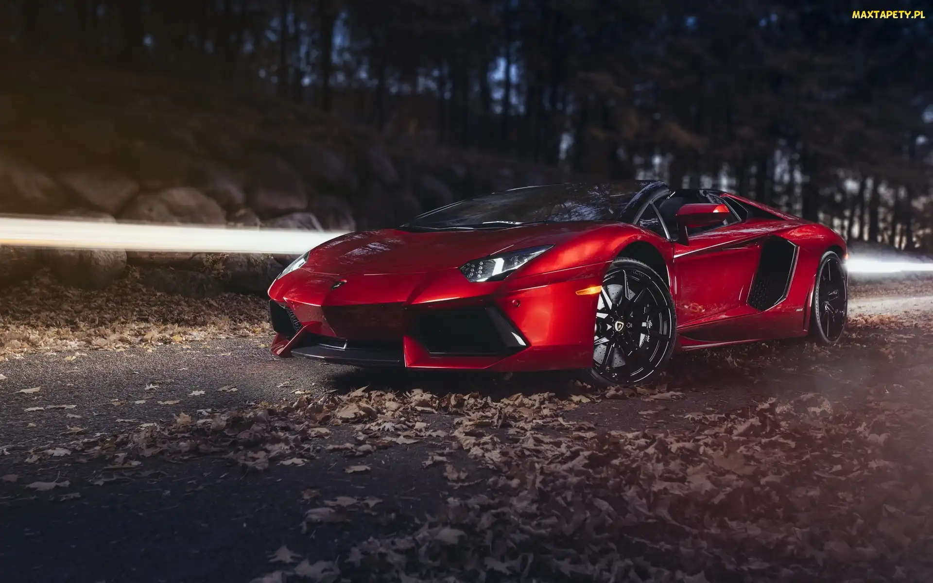 Drzewa, Ulica, Samochód, Lamborghini