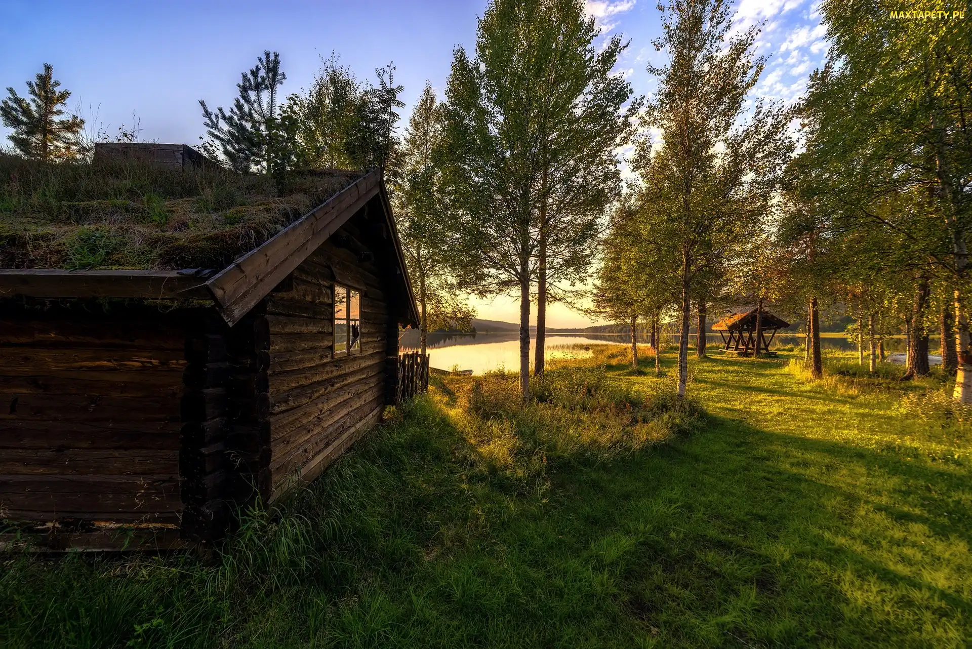 Poranek, Jezioro, Vestby, Przebijające Światło, Chata, Norwegia, Hedmark Fylke