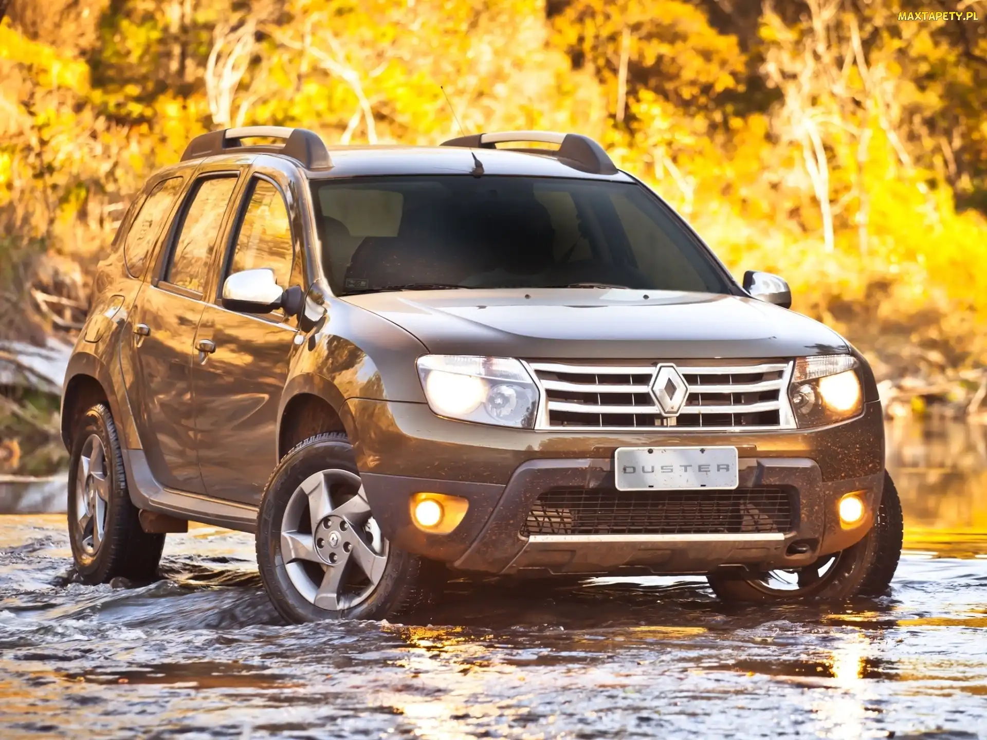 Samochód, Duster, Renault