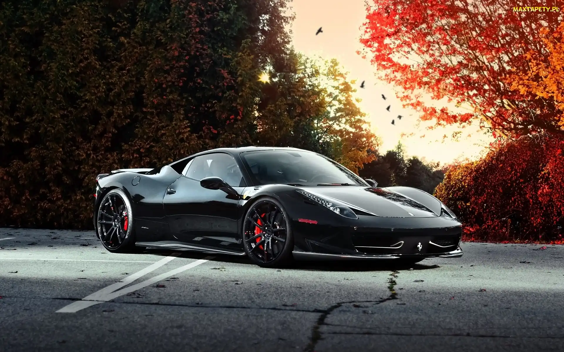 Drzewa, Sportowy, Jesień, Czarny, Ferrari, Droga, 458 Italia, Samochód