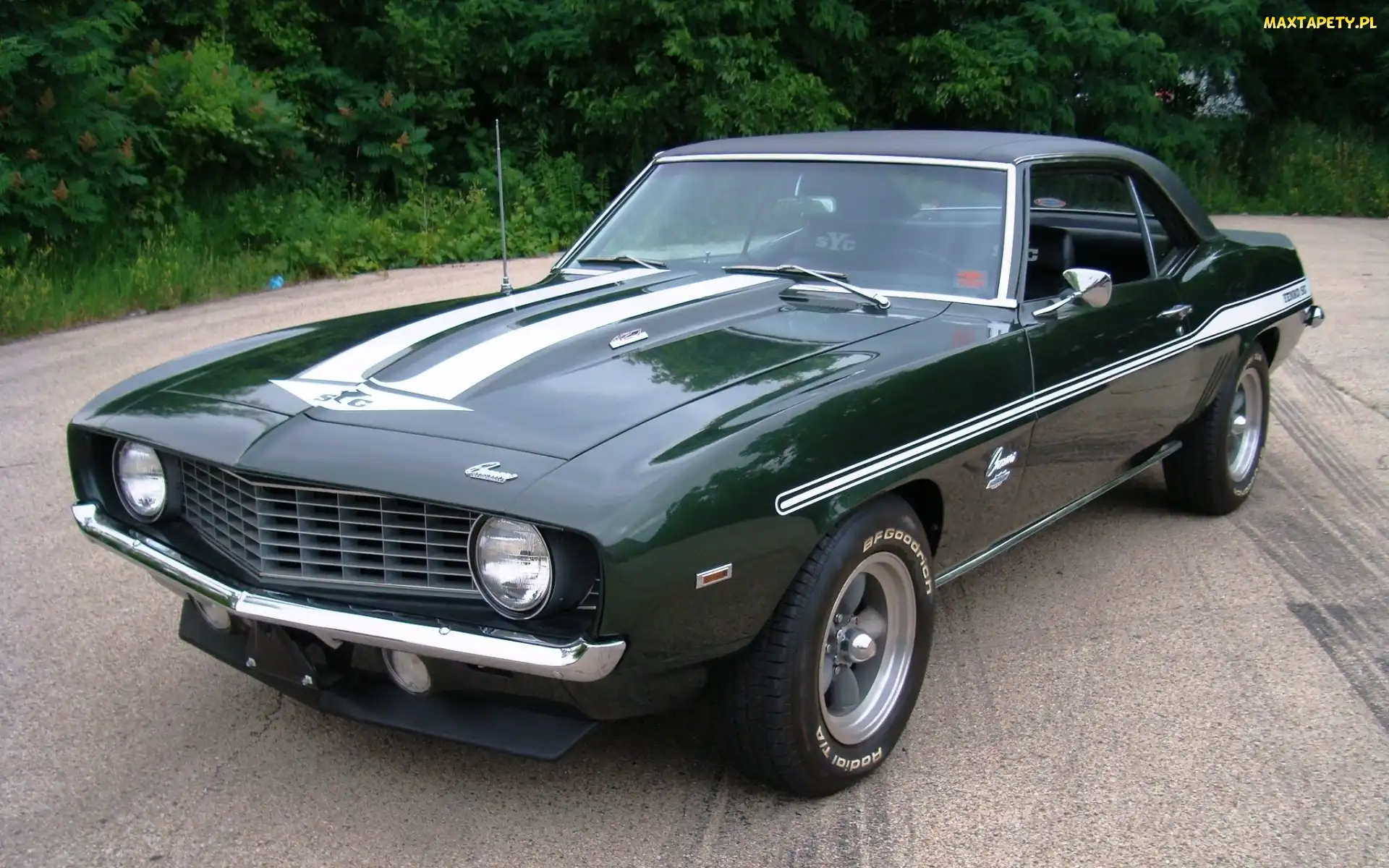 Camaro, 1969, Chevrolet