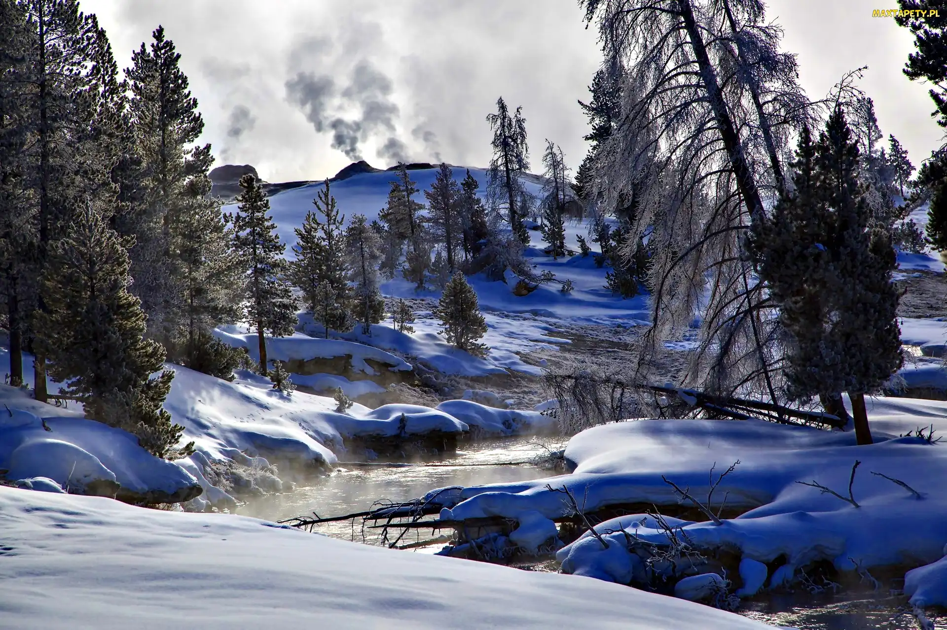 Drzewa, Zima, Stan Wyoming, Stany Zjednoczone, Park Narodowy Yellowstone, Rzeka Firehole River