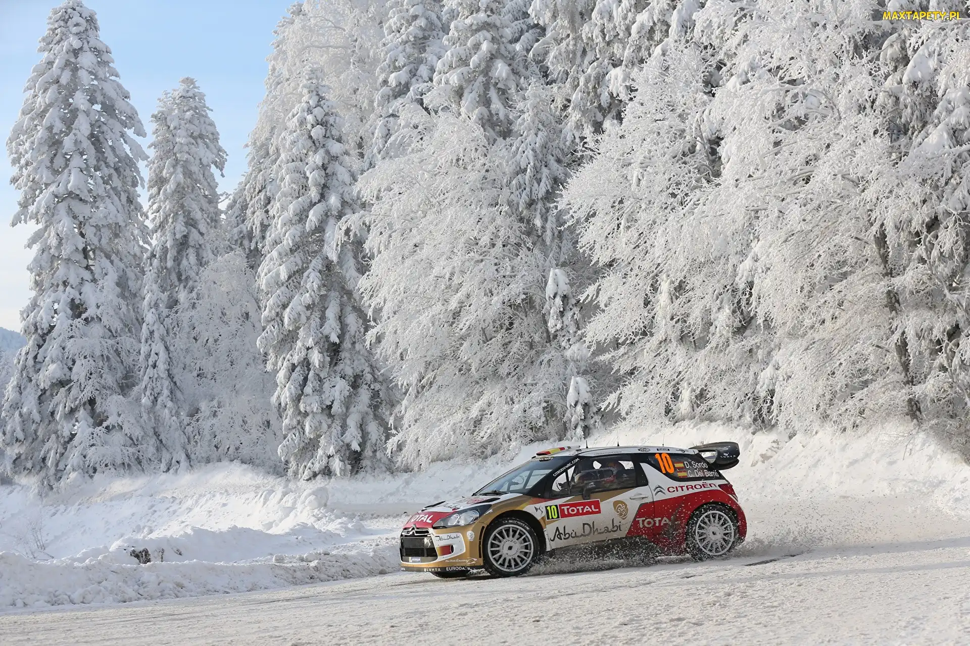 Las, Citroen DS3, Zima