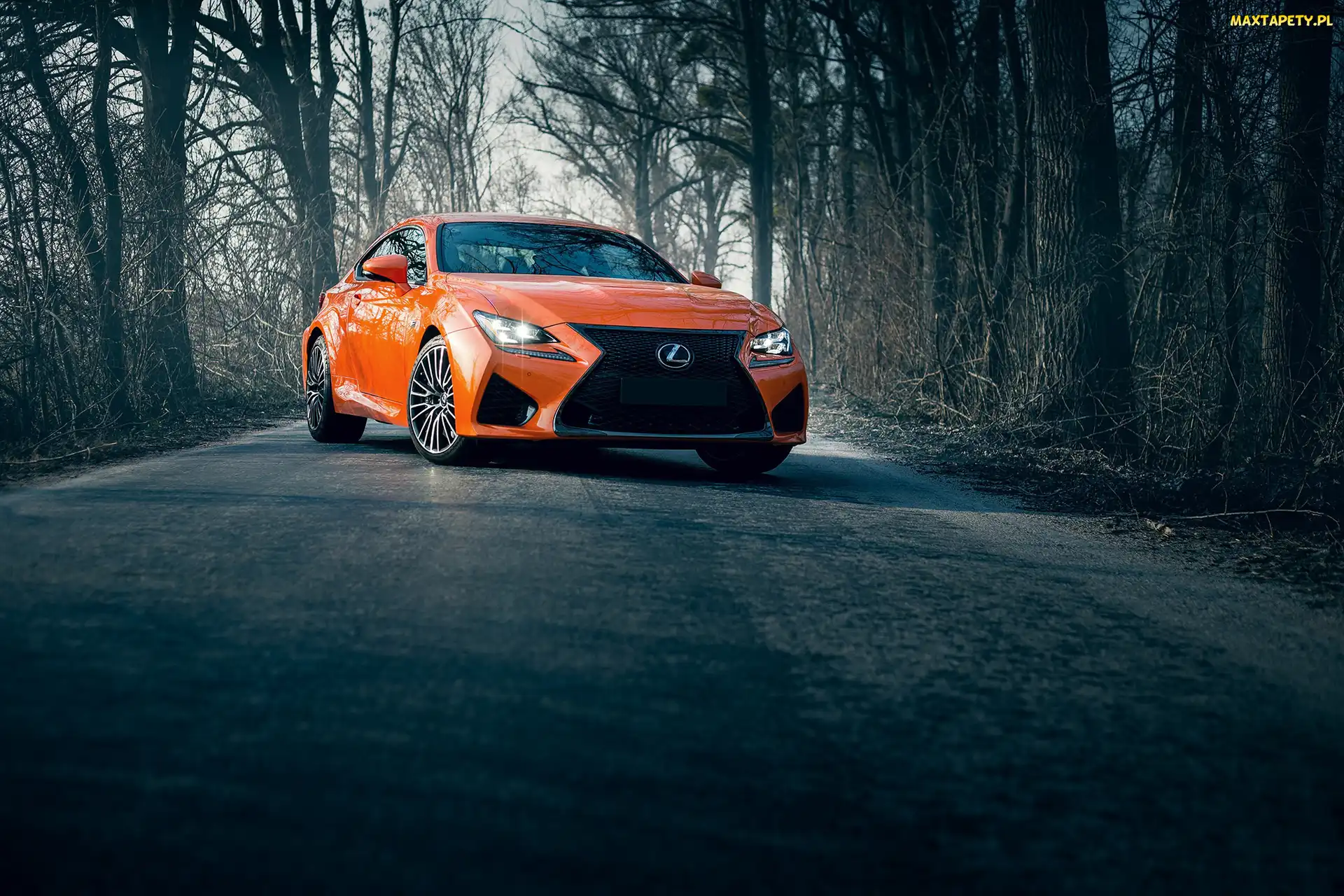 Lexus RC F, 2017, Samochód