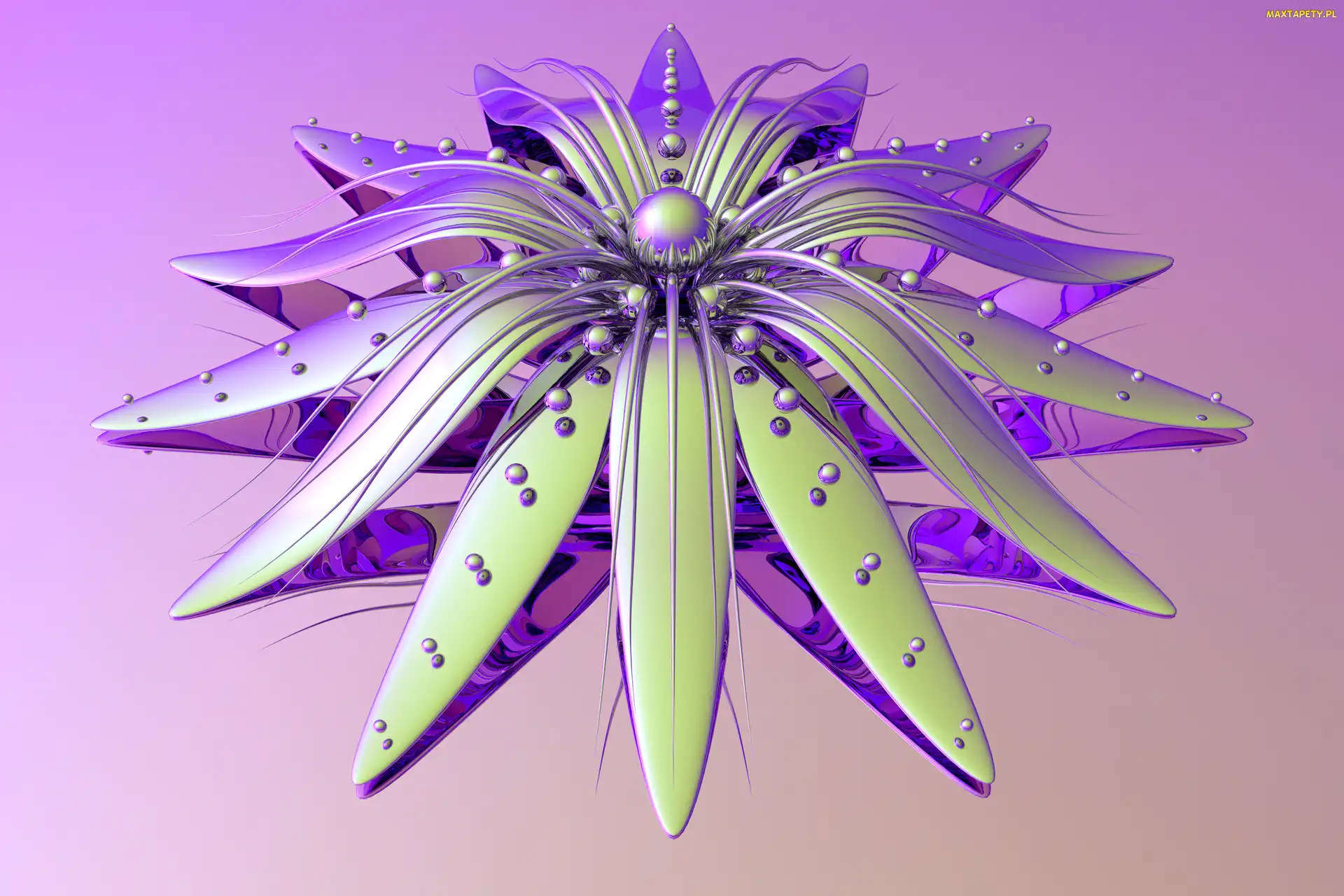 Grafika 3D, Kwiat