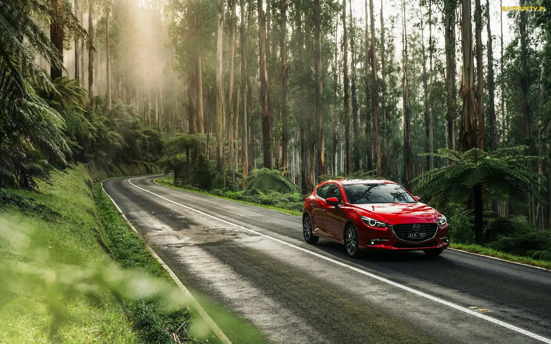 Czerwona, Droga, 2016, Las, Mazda 3 SP25 Astina Sedan