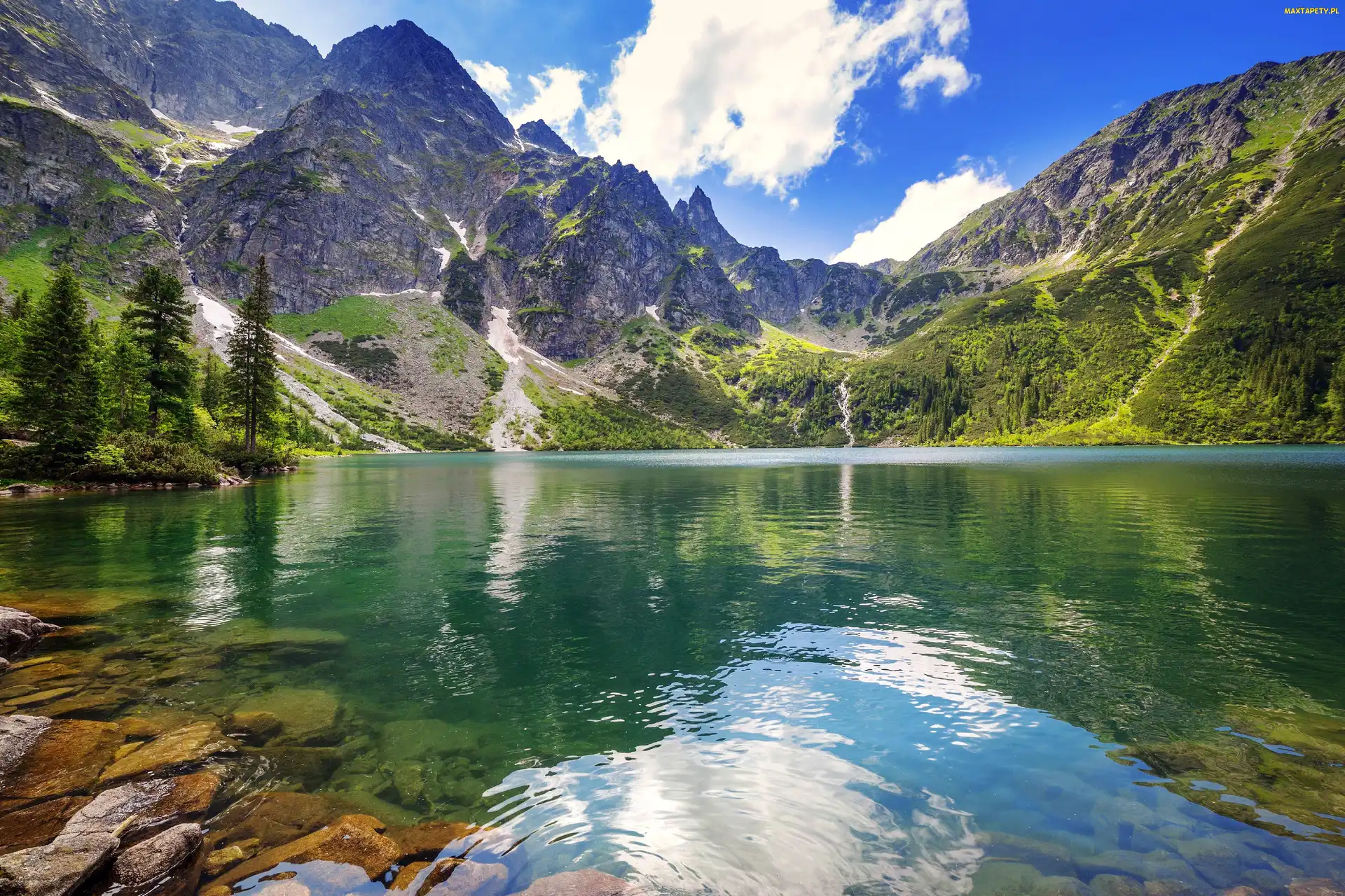 Góry Tatry, Drzewa, Lato, Jezioro Morskie Oko, Polska