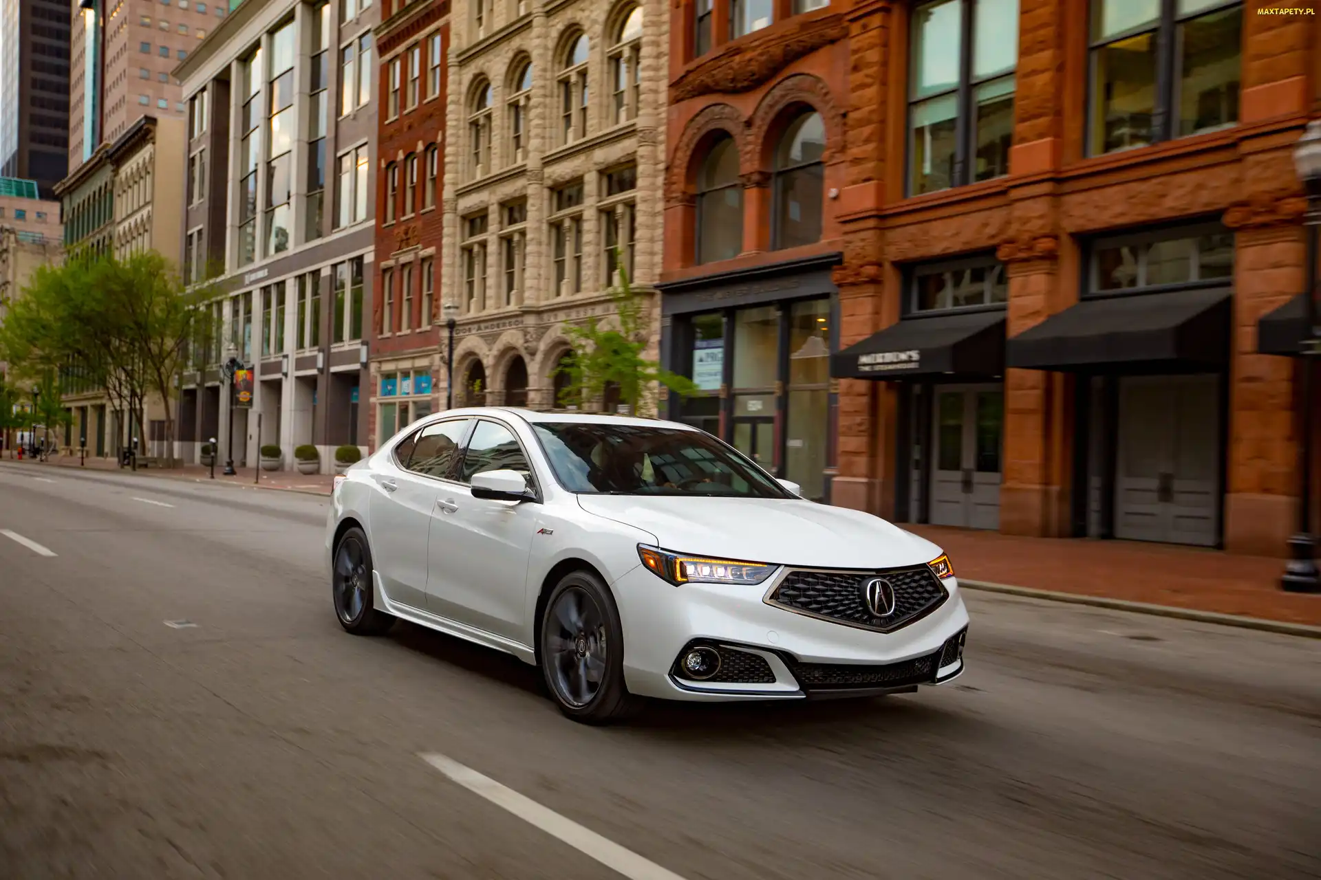 Acura TLX, Biała