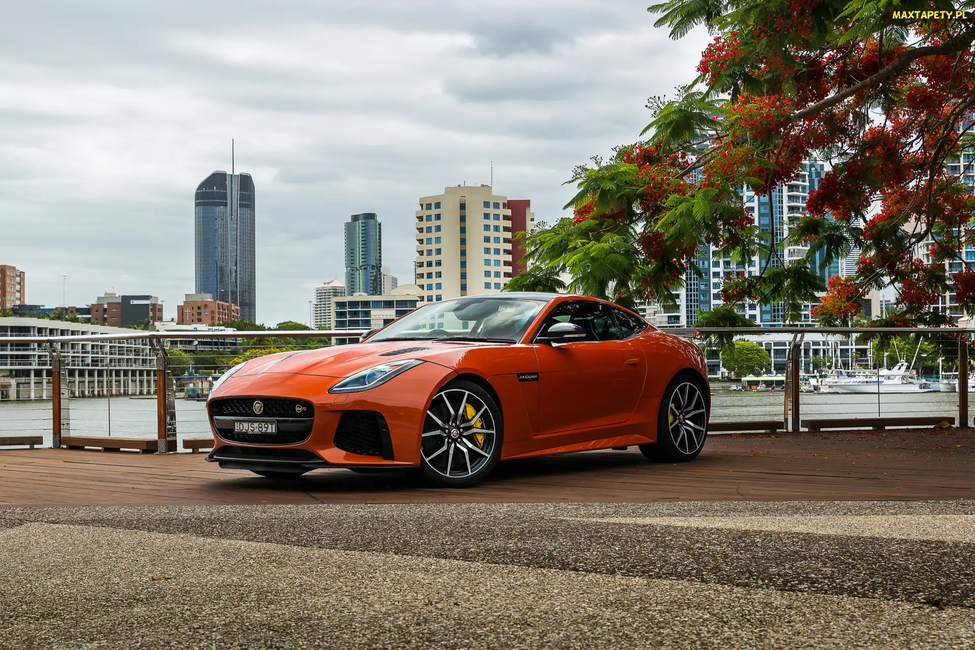 Orange Metallic, 2016-2017, Jaguar F-Type SVR Coupe