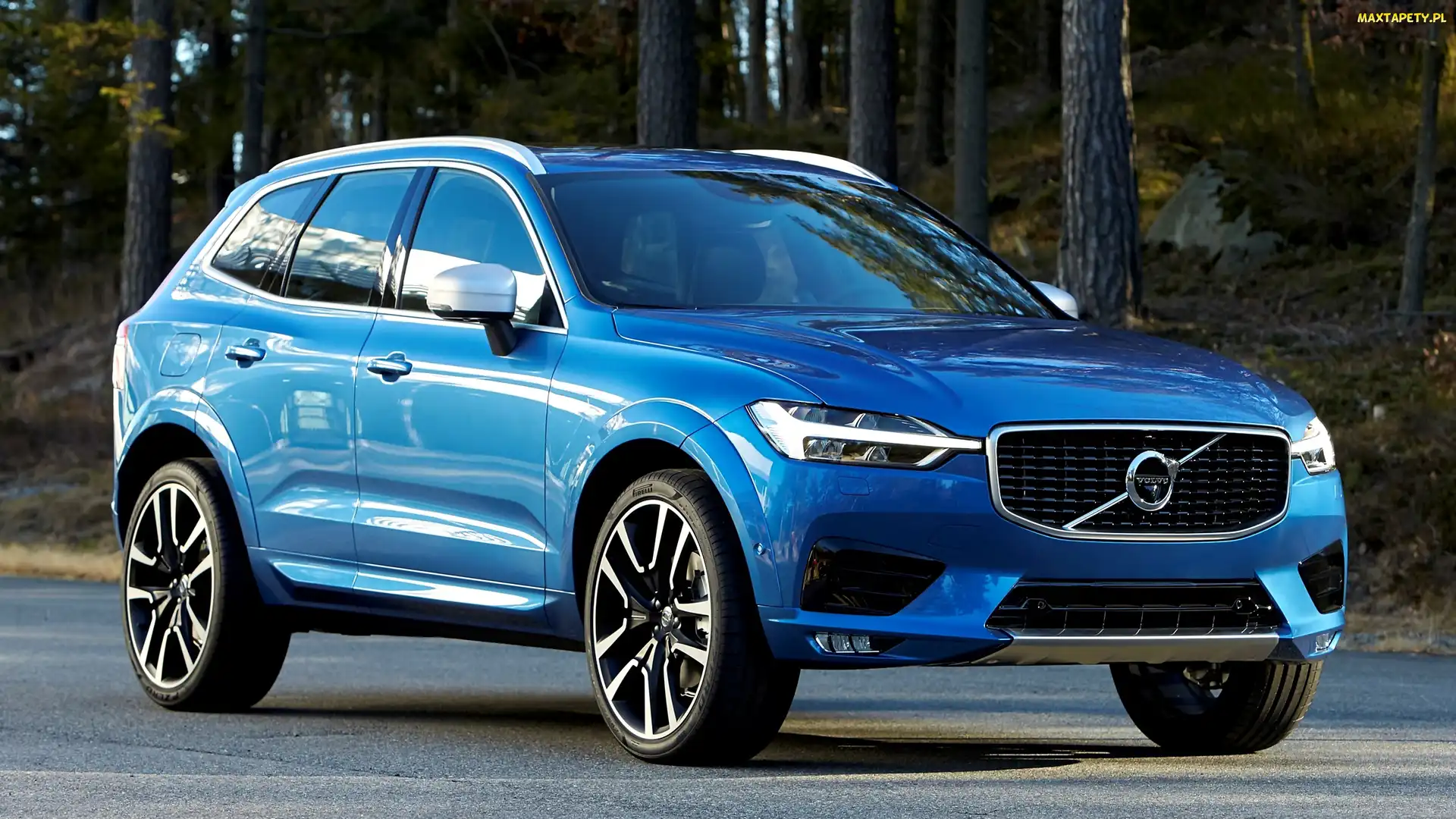 Niebieskie, Las, 2017, Volvo XC60