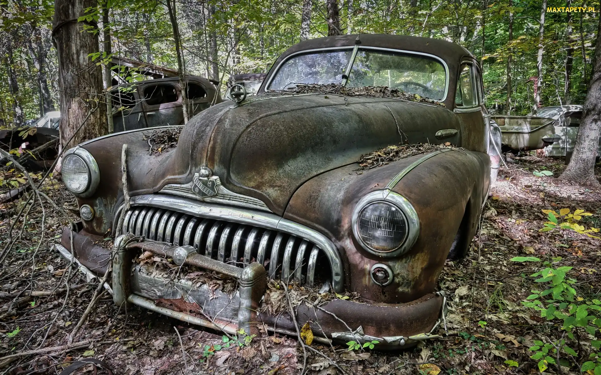 Stary, Buick, Złom