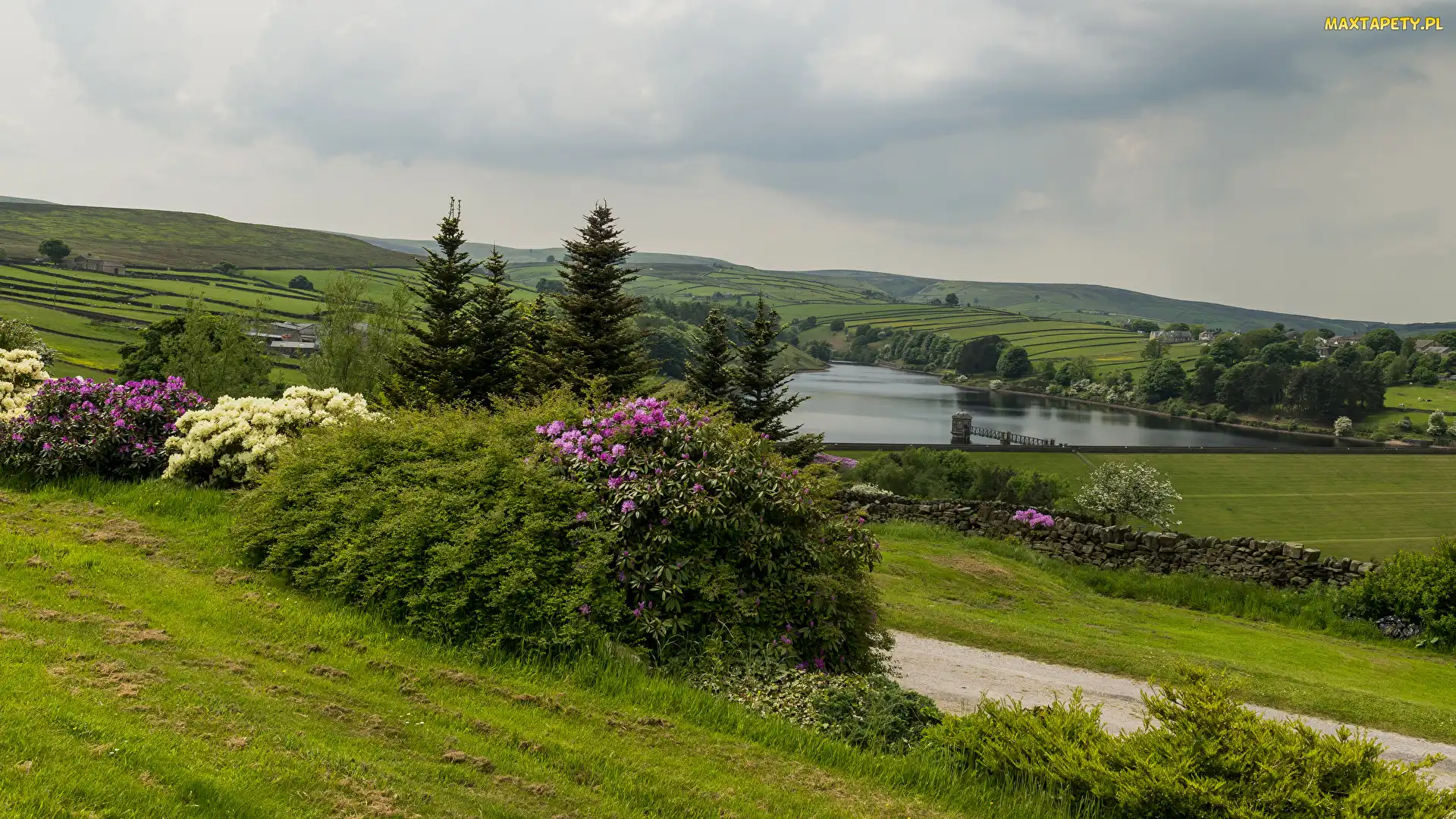 Wzgórza, Rzeka, Krzewy, Drzewa, Pola