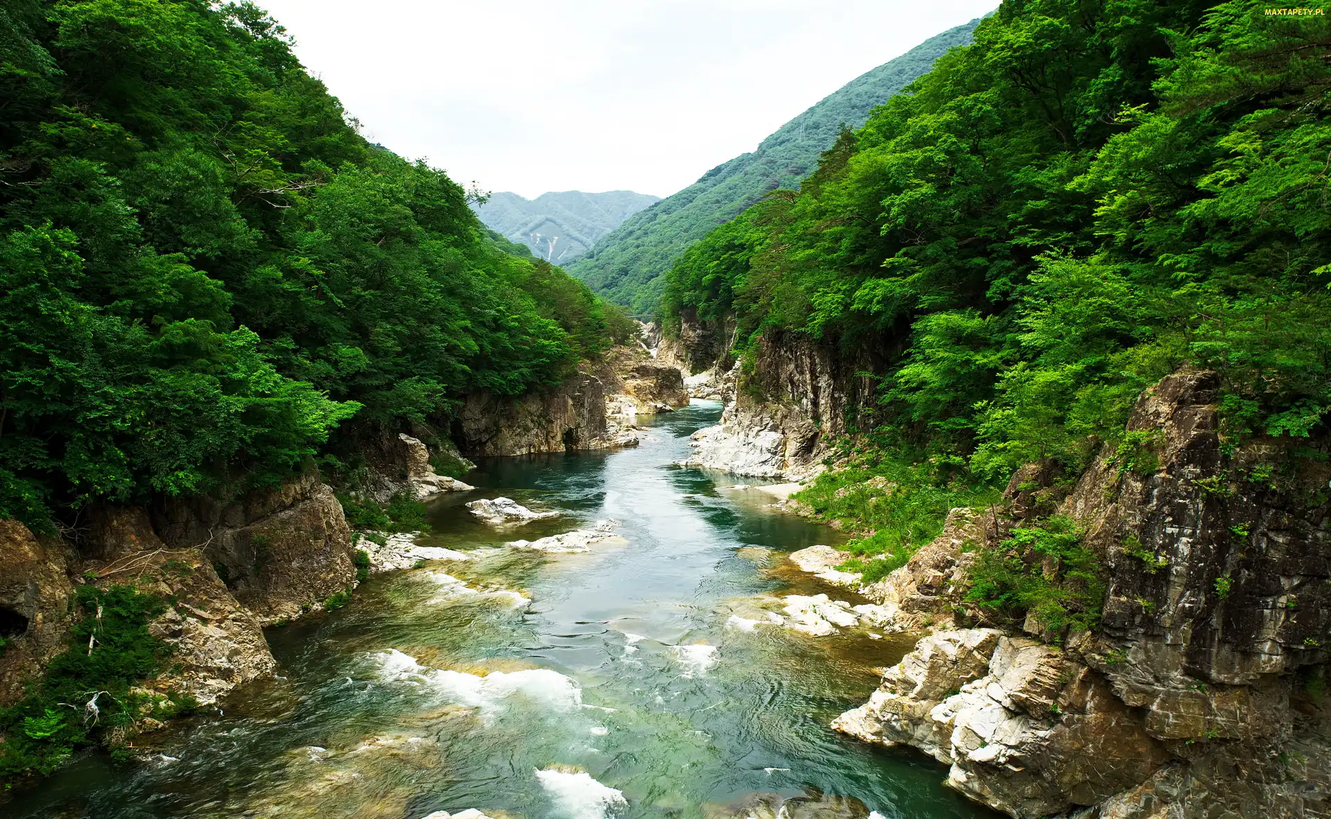 Drzewa, Kamienie, Wyspa Honsiu, Góry, Rzeka, Japonia, Park Narodowy Nikko