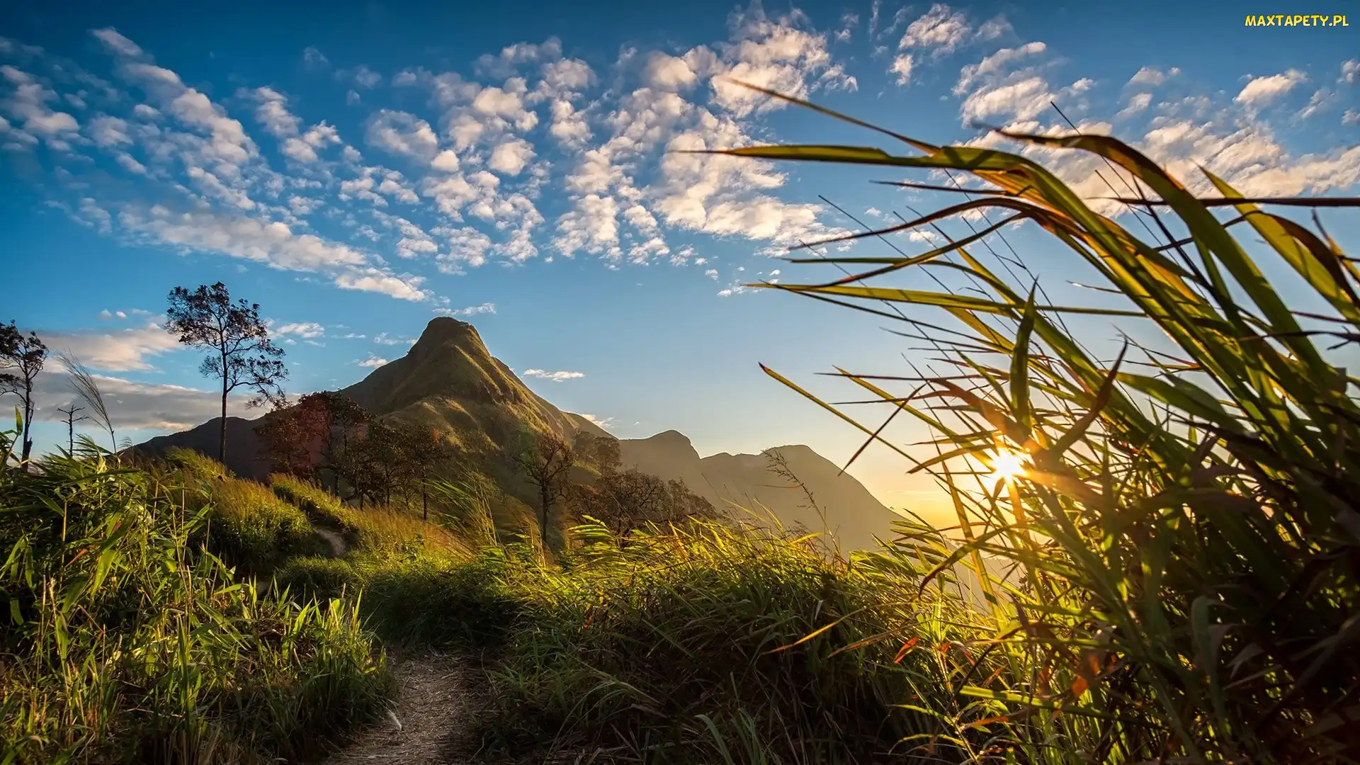 Park Narodowy Thong Pha Phum, Tajlandia, Wschód słońca, Góra Khao Chang Phueak, Ścieżka, Trawy, Góry