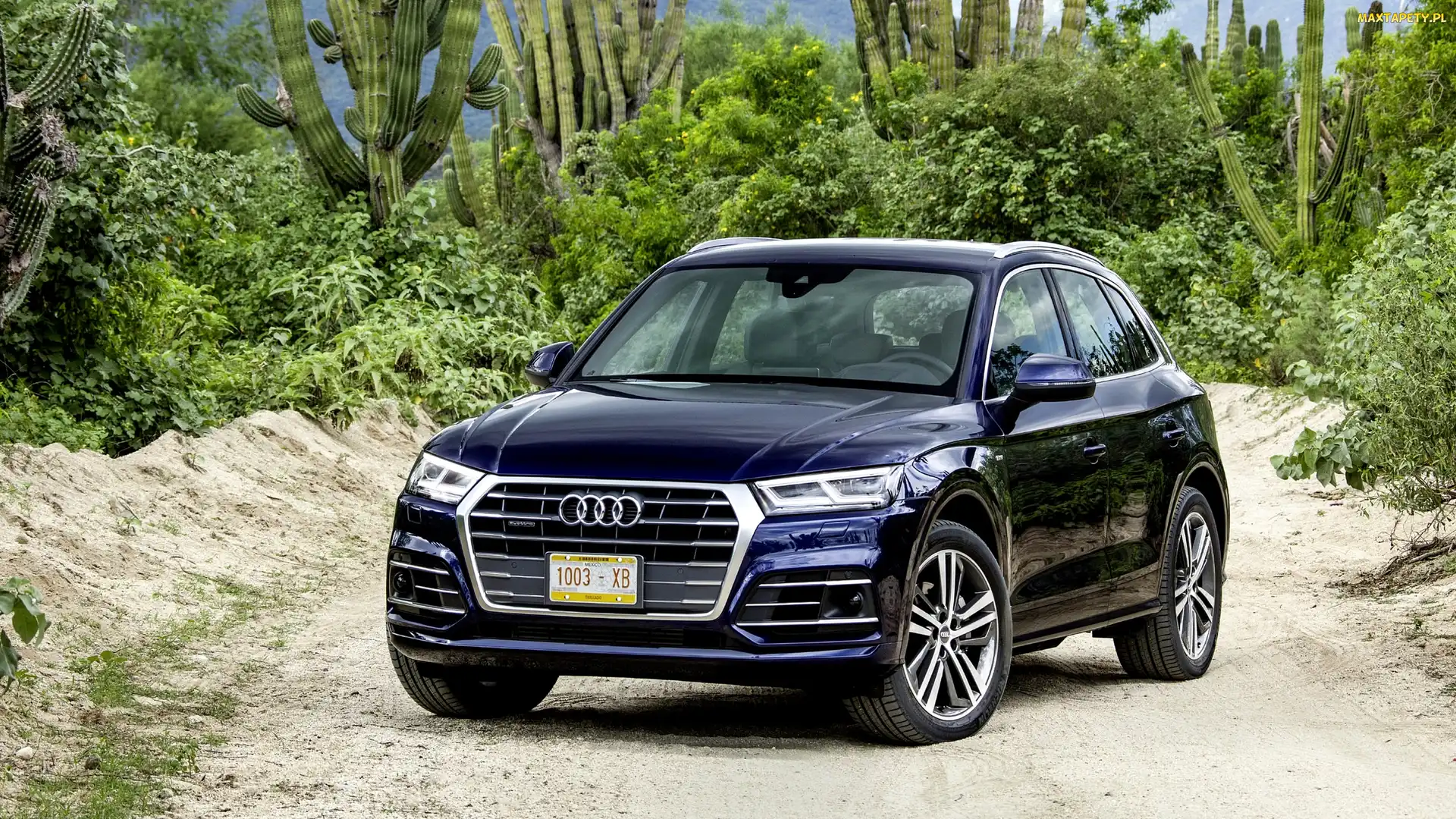2017, Kaktusy, Audi Q5 TFSI Quattro SUV Navarra Blue