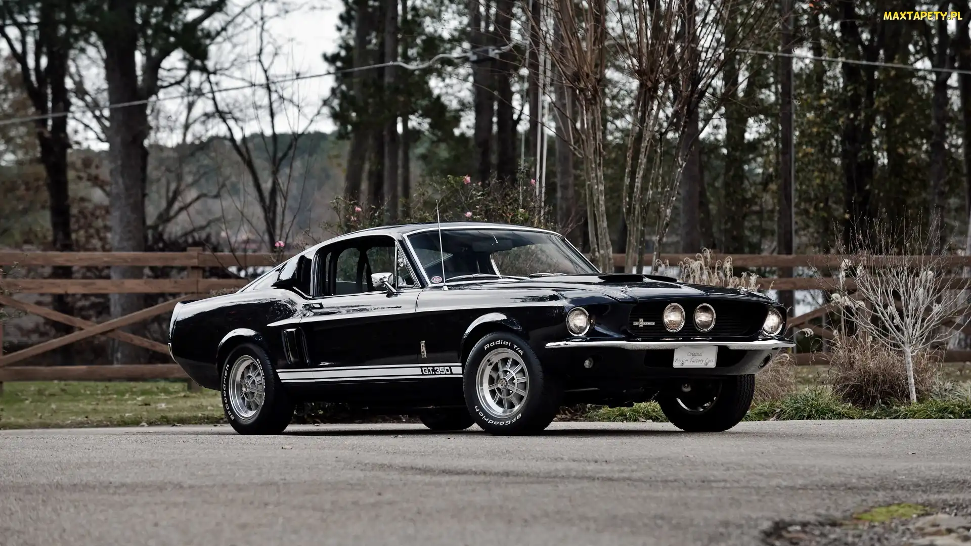 Ford Mustang Shelby GT350, 1967, Zabytkowy