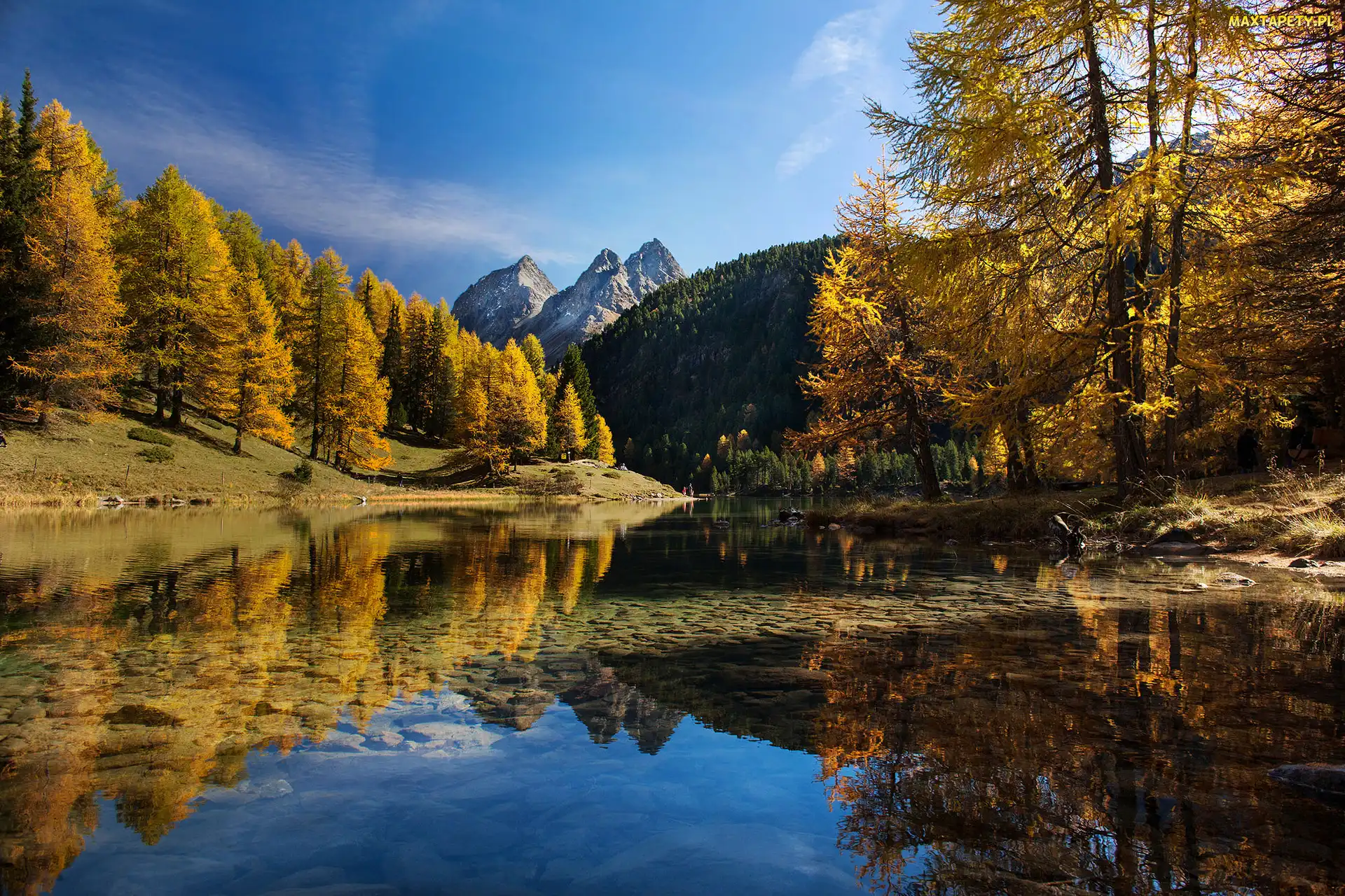 Góry Albula-Alpen, Jezioro Lai da Palpuogna, Kanton Gryzonia, Drzewa, Jesień, Szwajcaria, Przełęcz Albulapass