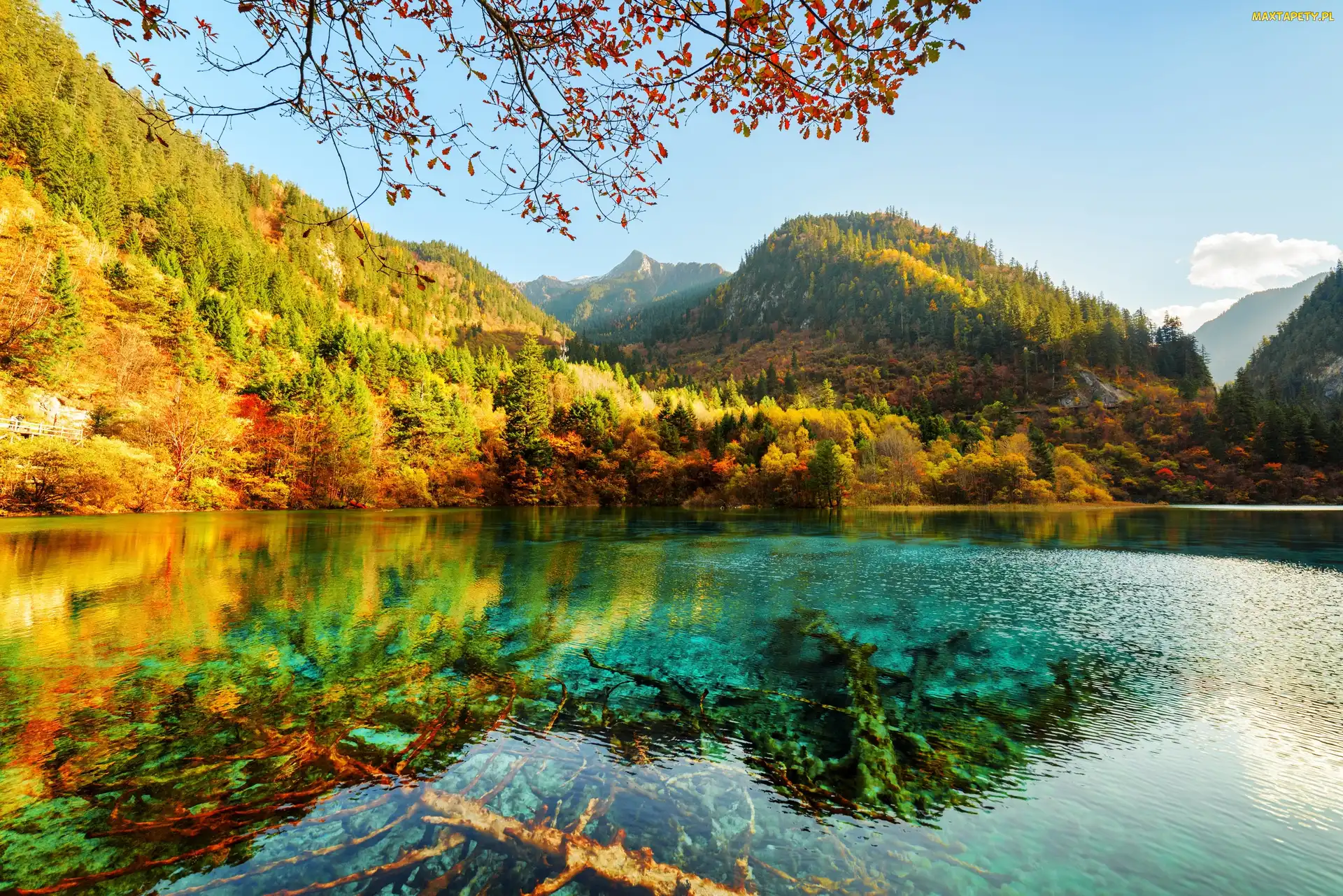 Jezioro Wu Hua Hai - Pięciu Kwiatów, Góry, Park Narodowy Jiuzhaigou, Drzewa, Las, Chiny, Jesień