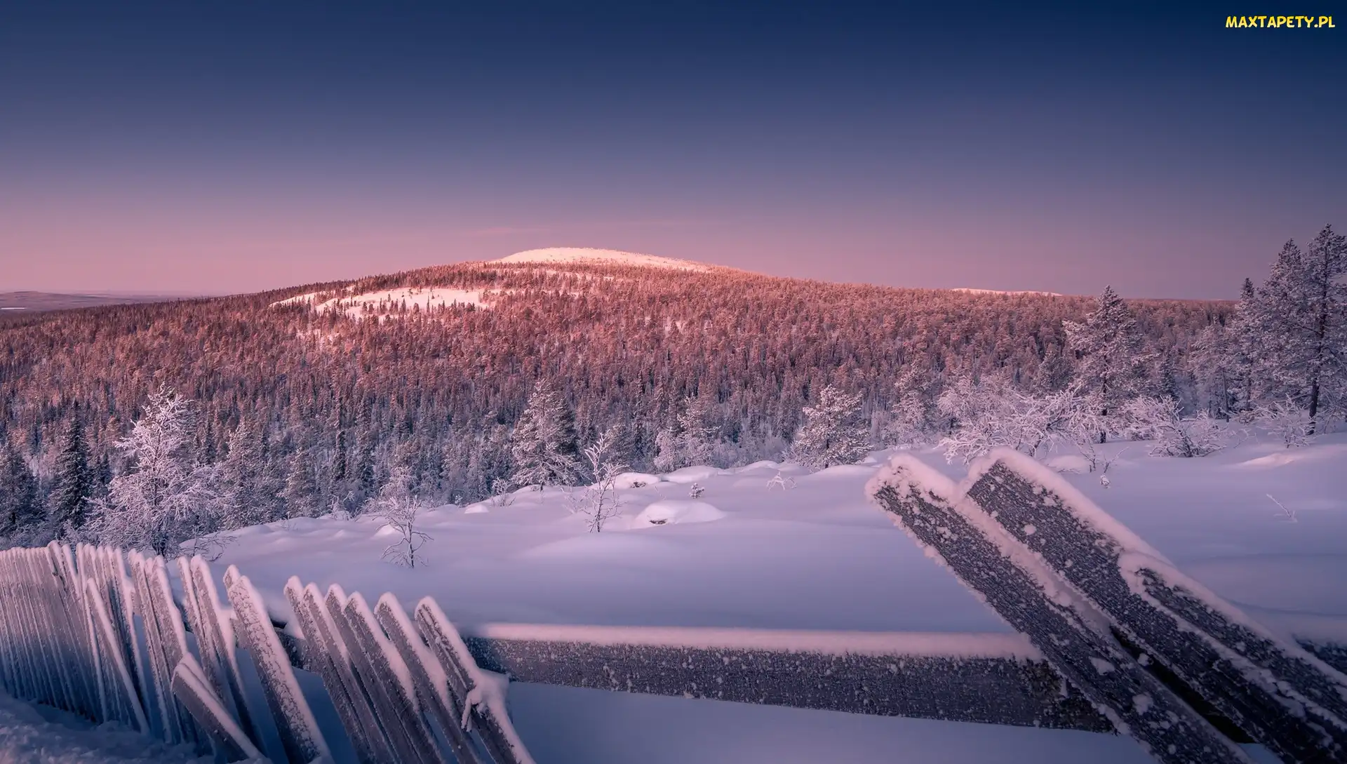 Ogrodzenie, Wzgórza, Laponia, Drzewa, Śnieg, Finlandia, Osada Sallatunturi