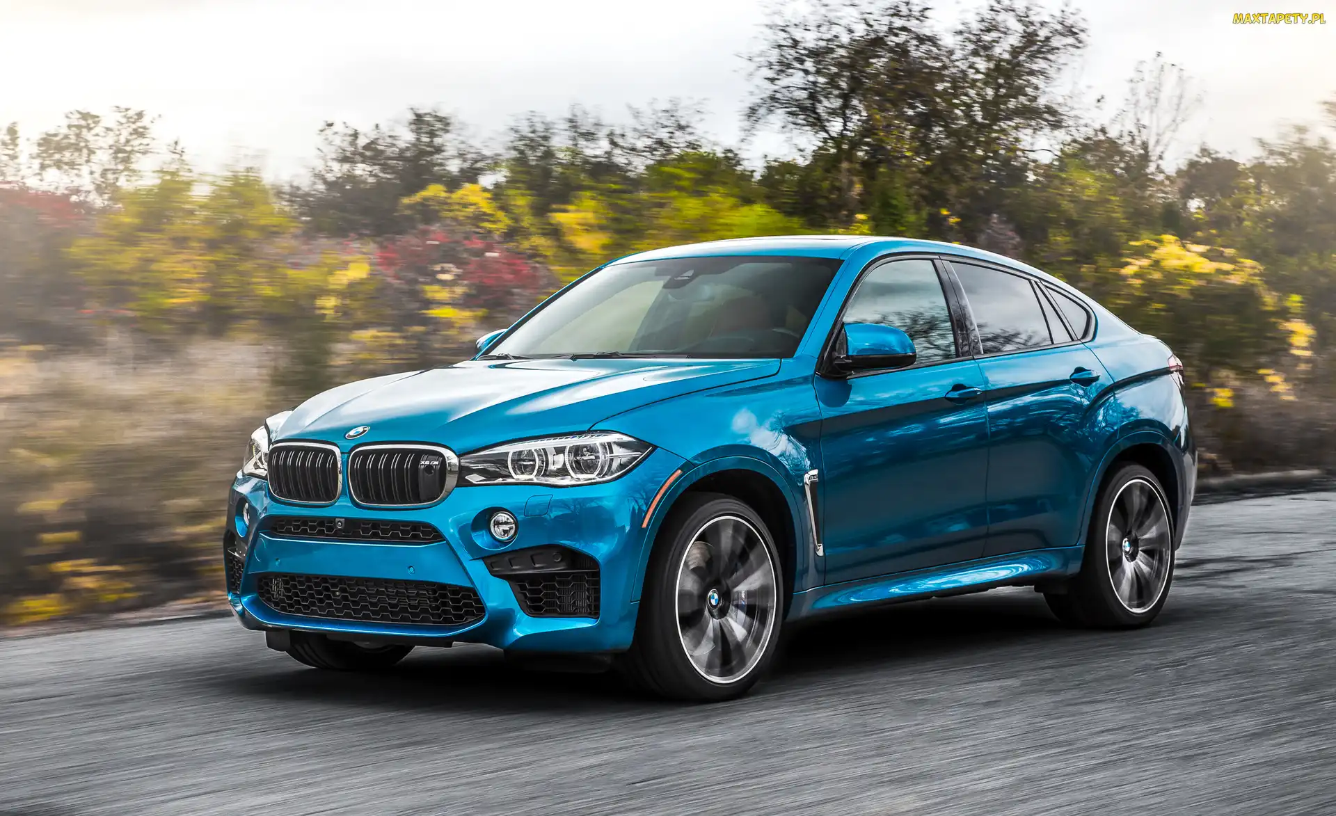 Niebieskie, 2015, BMW X6 F86