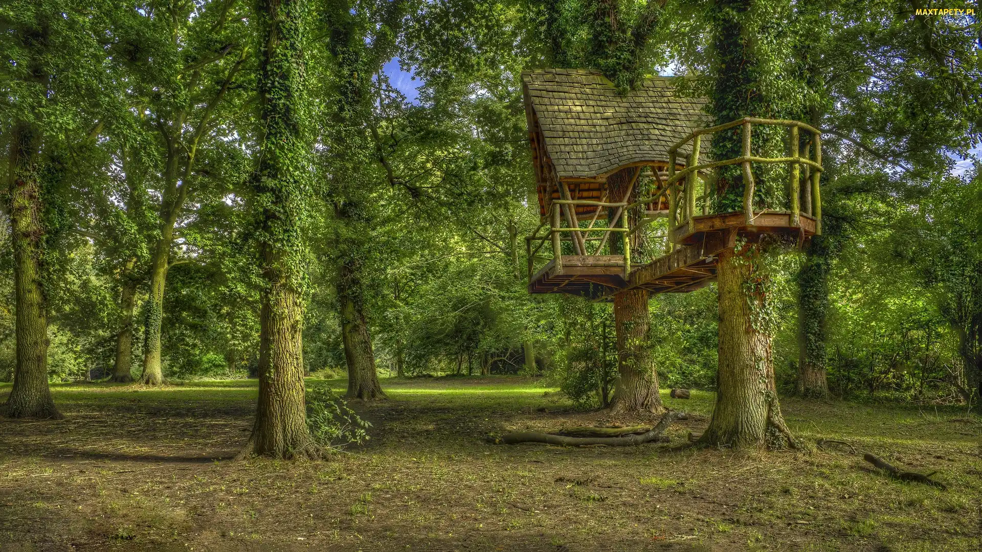 Hrabstwo Northamptonshire, Park, Anglia, Kelmarsh Hall and Gardens, Domek, Kelmarsh, HDR, Drzewa