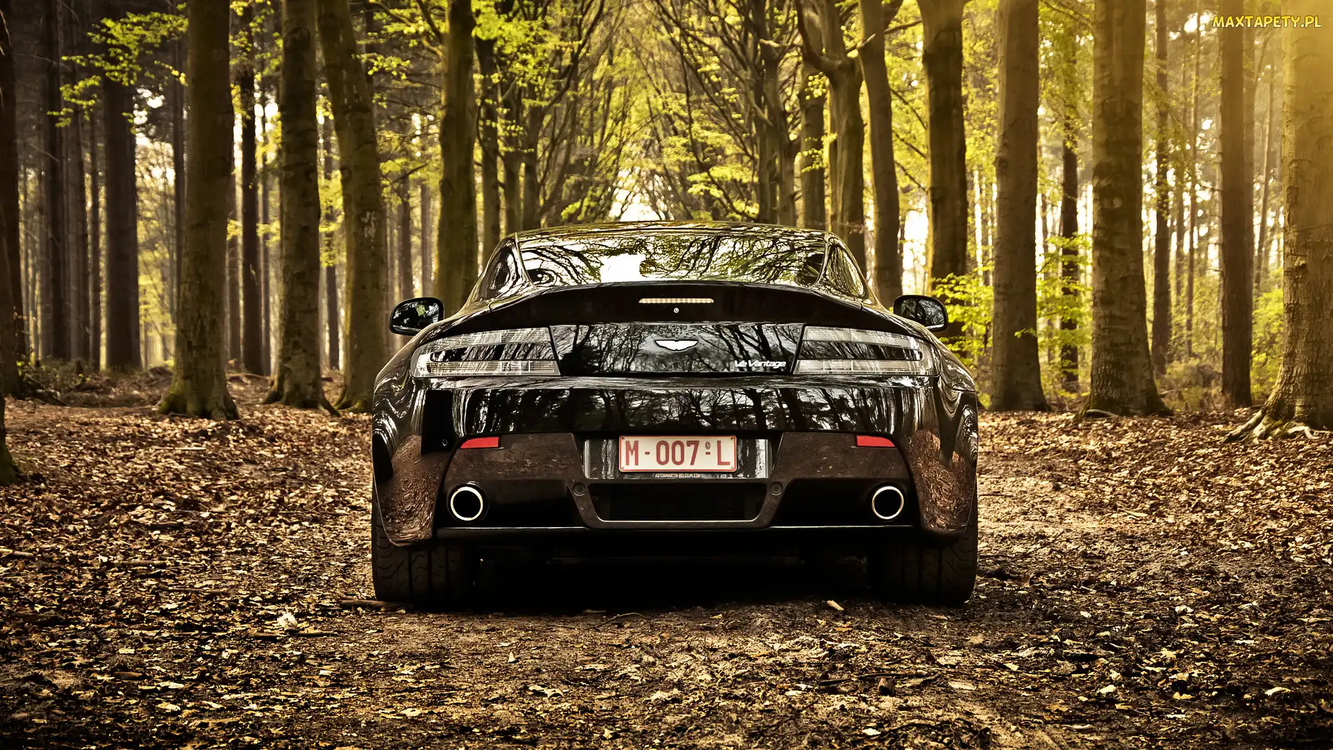 Drzewa, Las, Aston Martin V8 Vantage Roadster, 2012