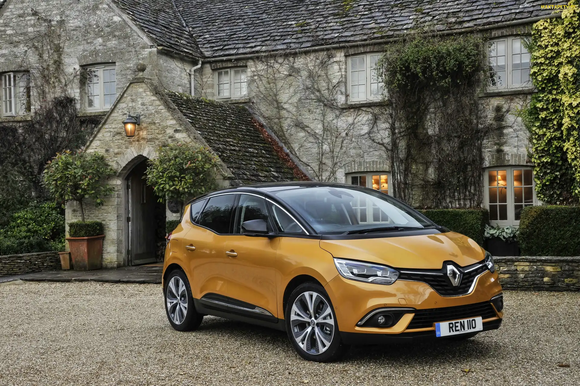 Dom, 2016, Żółty, Renault Scenic