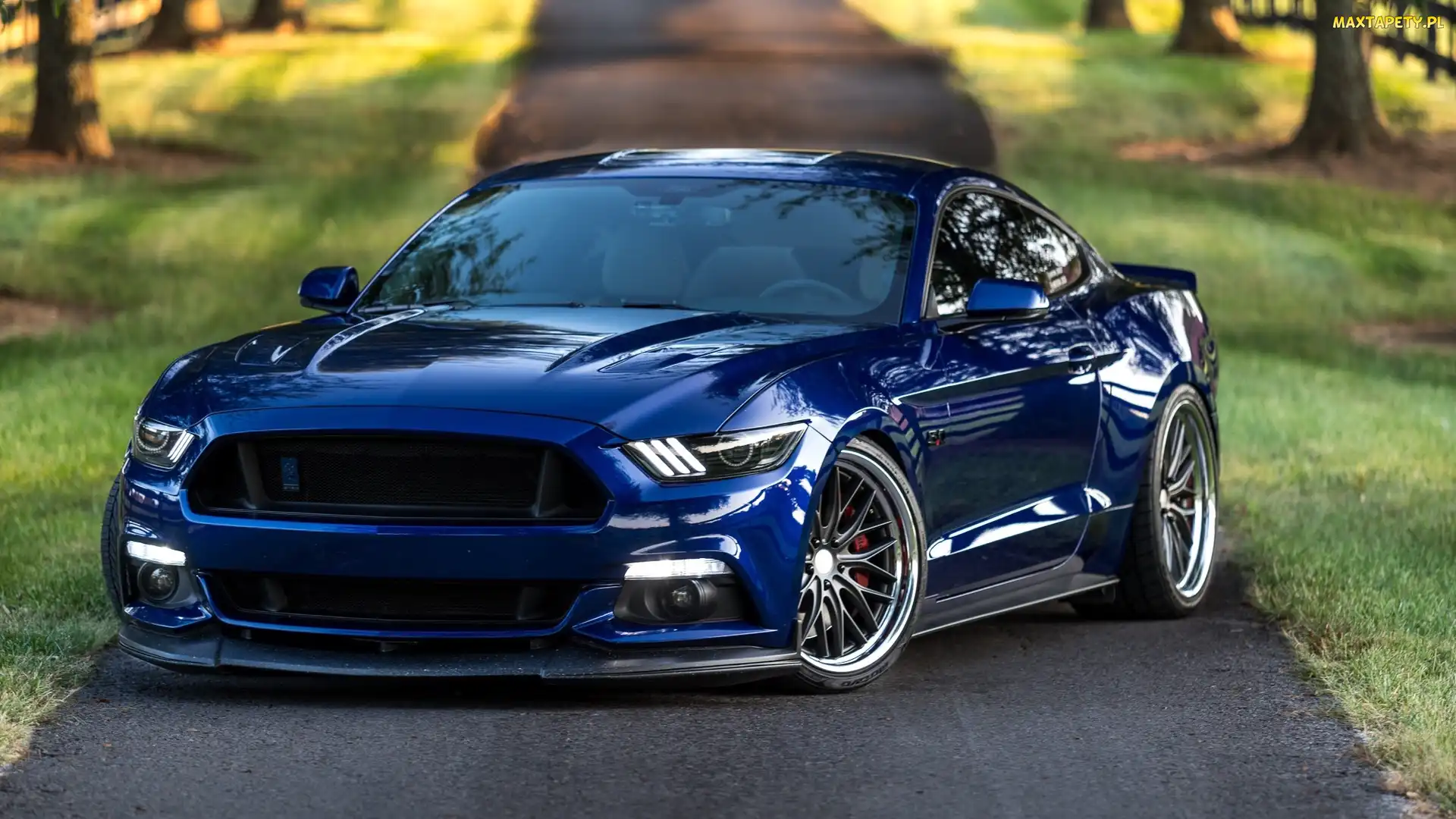 Ford Mustang GT, 2017, Niebieski