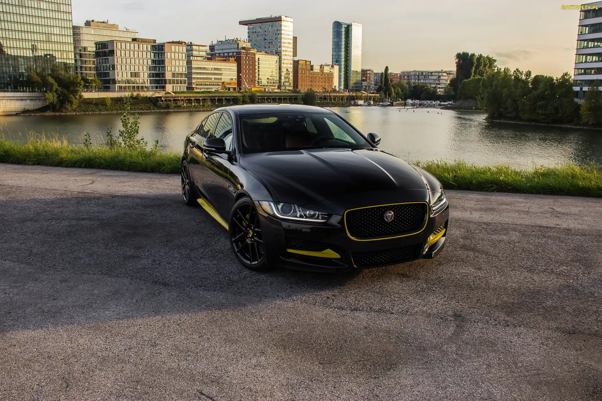 Arden, 2017, Jaguar XE AJ 24