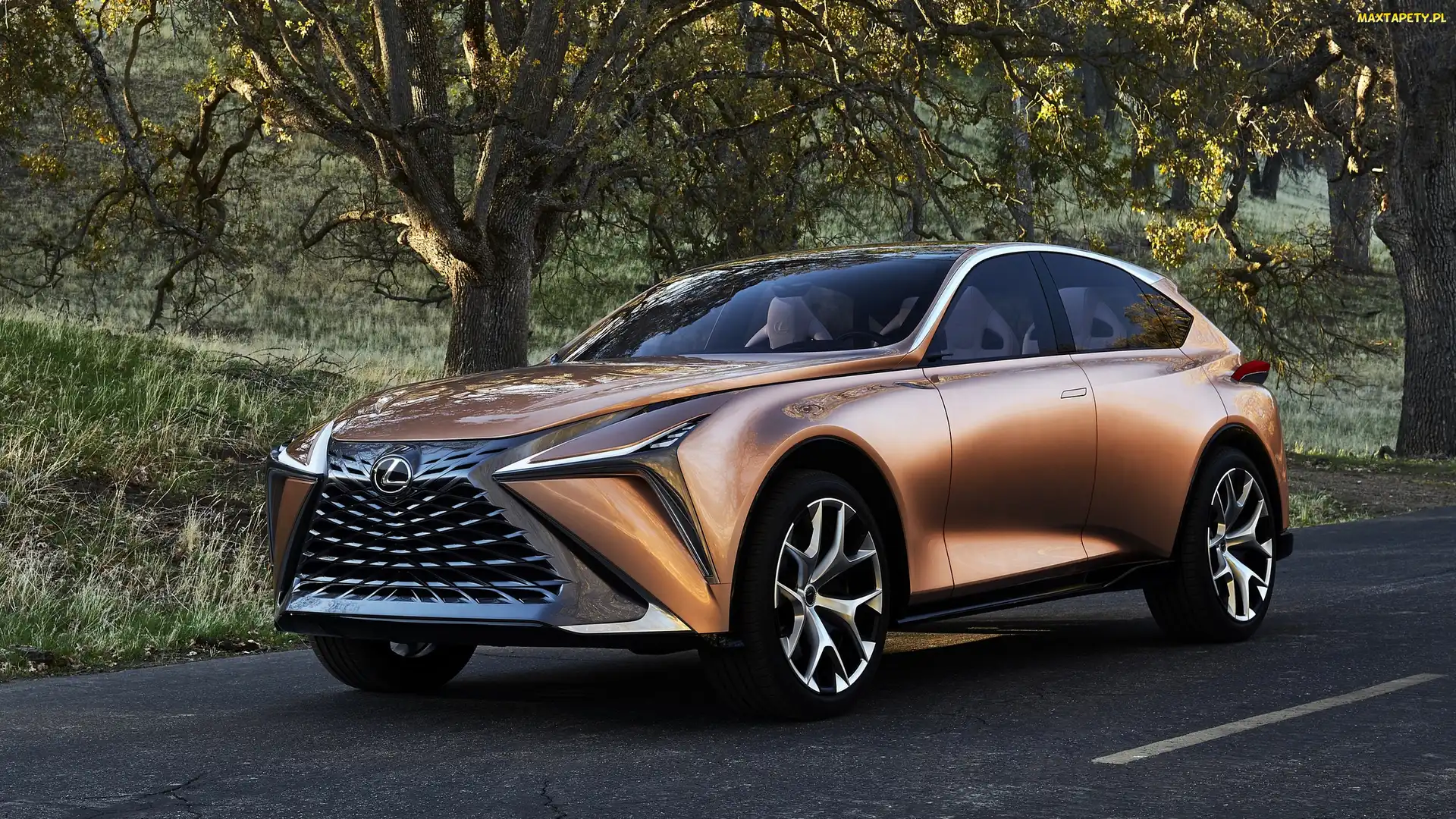 2018, Concept, Lexus LF-1 Limitless, SUV