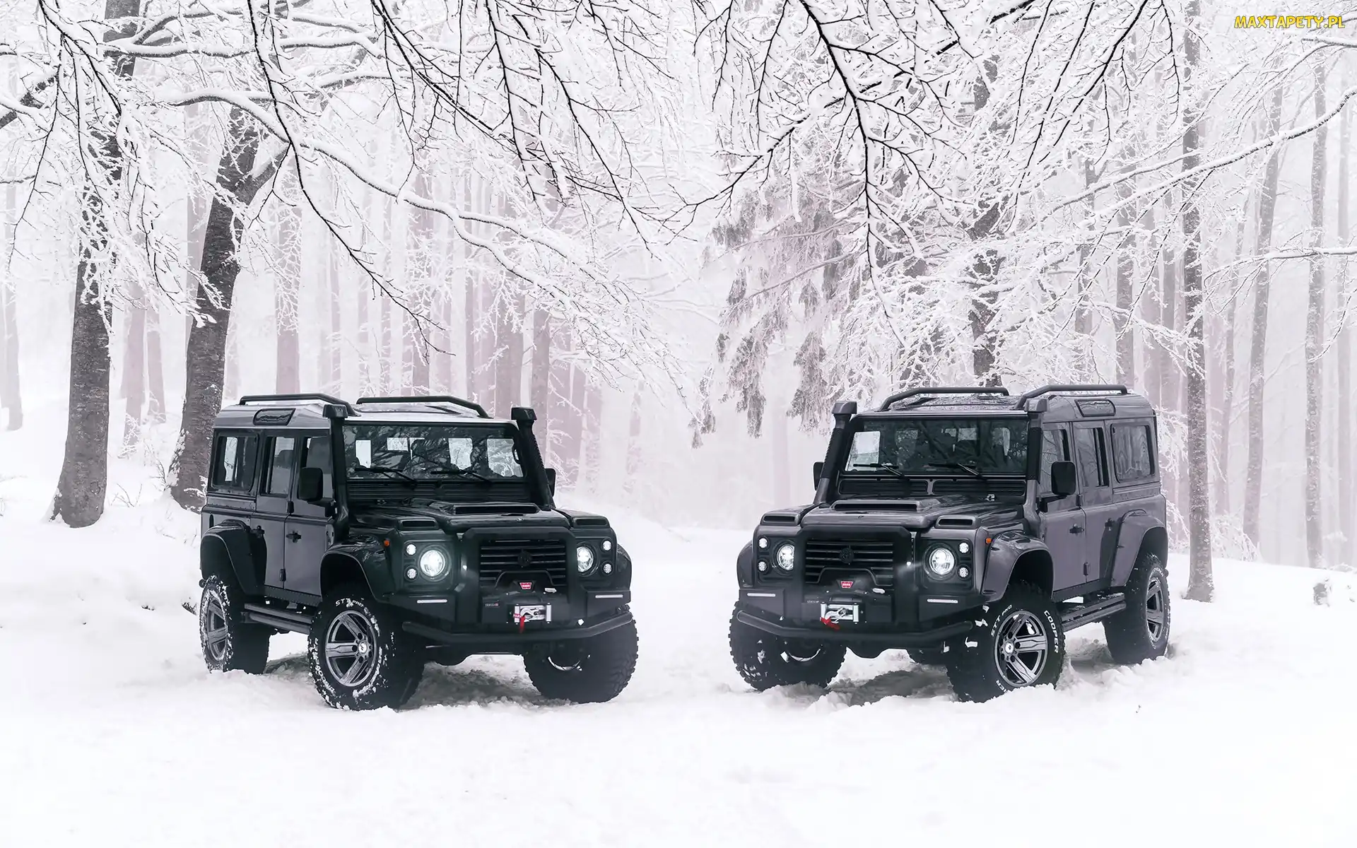 Drzewa, Las, Czarne, Zima, 2018, Dwa, Land Rover Defender