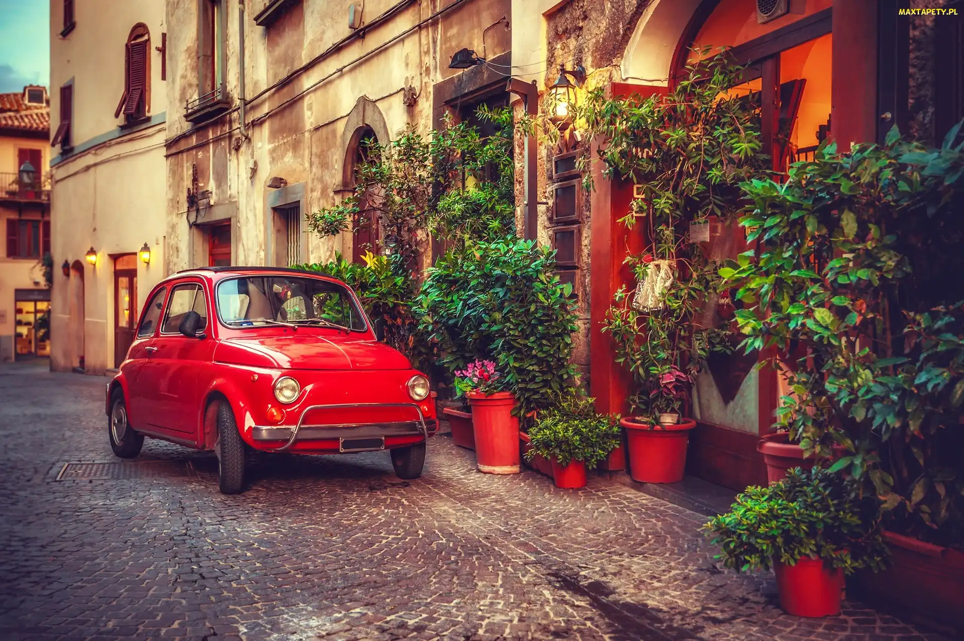 Ulica, Rośliny, Fiat 500