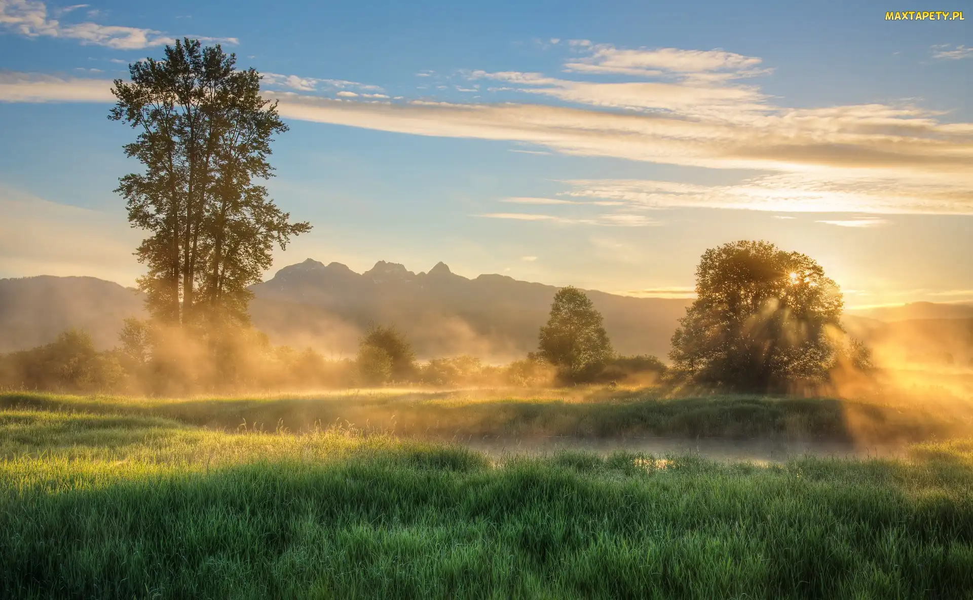 Kolumbia Brytyjska, Drzewa, Kanada, Jerry Sulina Park, Wschód słońca, Maple Ridge, Wzgórza, Mgła