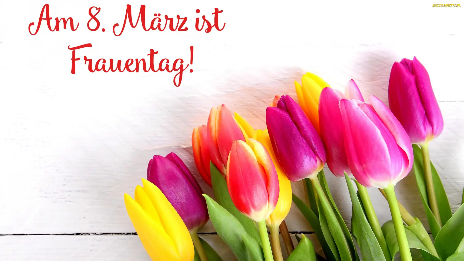 Kolorowe, Deski, Napis, Tulipany, Dzień Kobiet