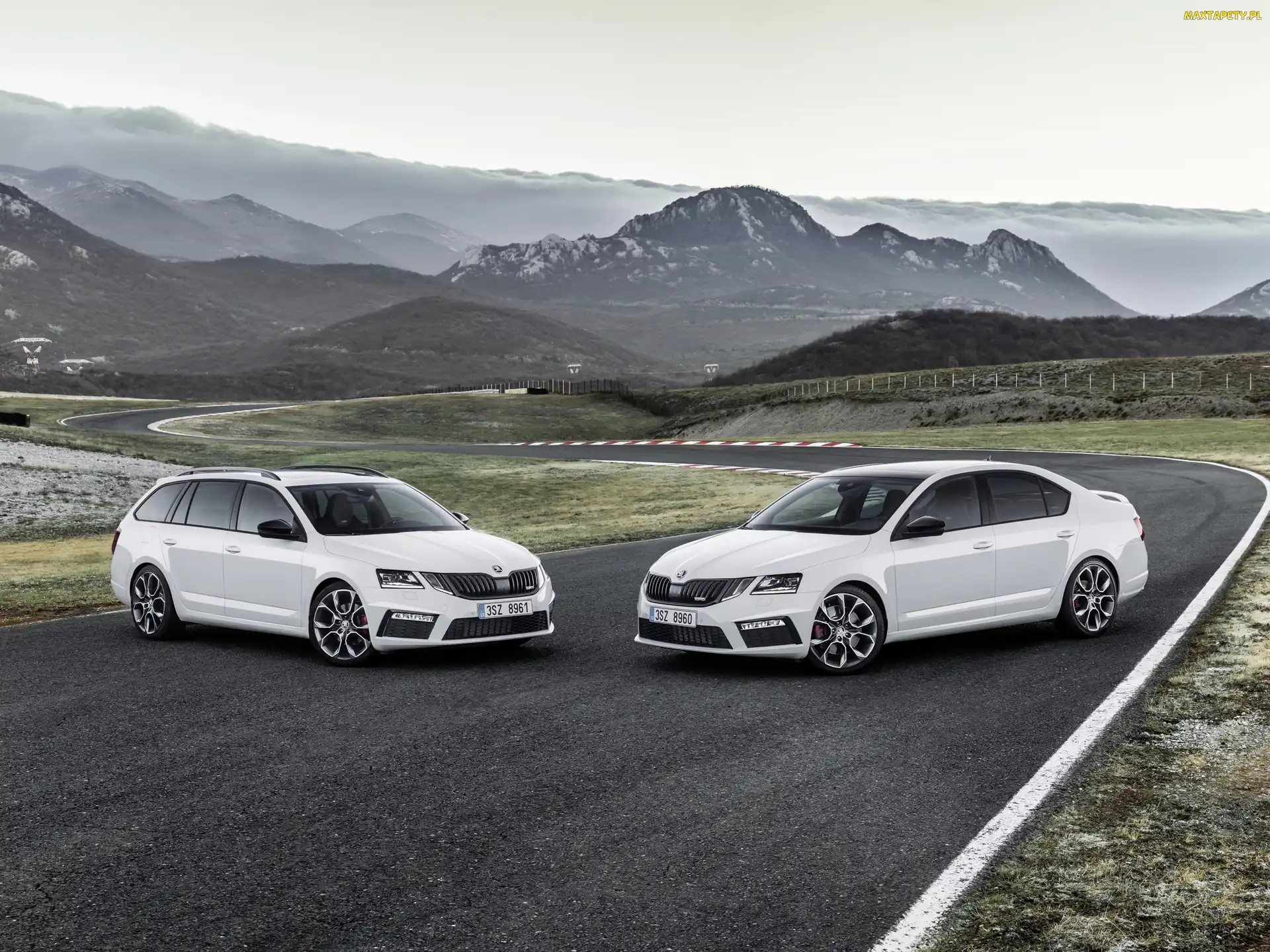Skoda Octavia, Samochody, Dwa, Białe