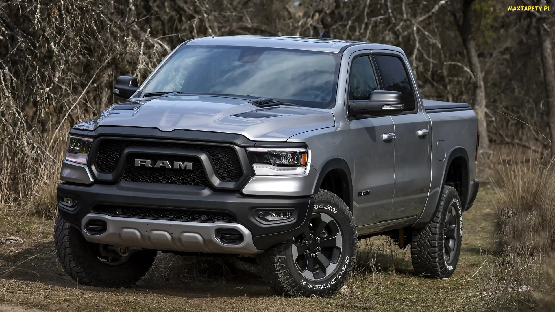 Srebrny, Rebel, Dodge Ram 1500