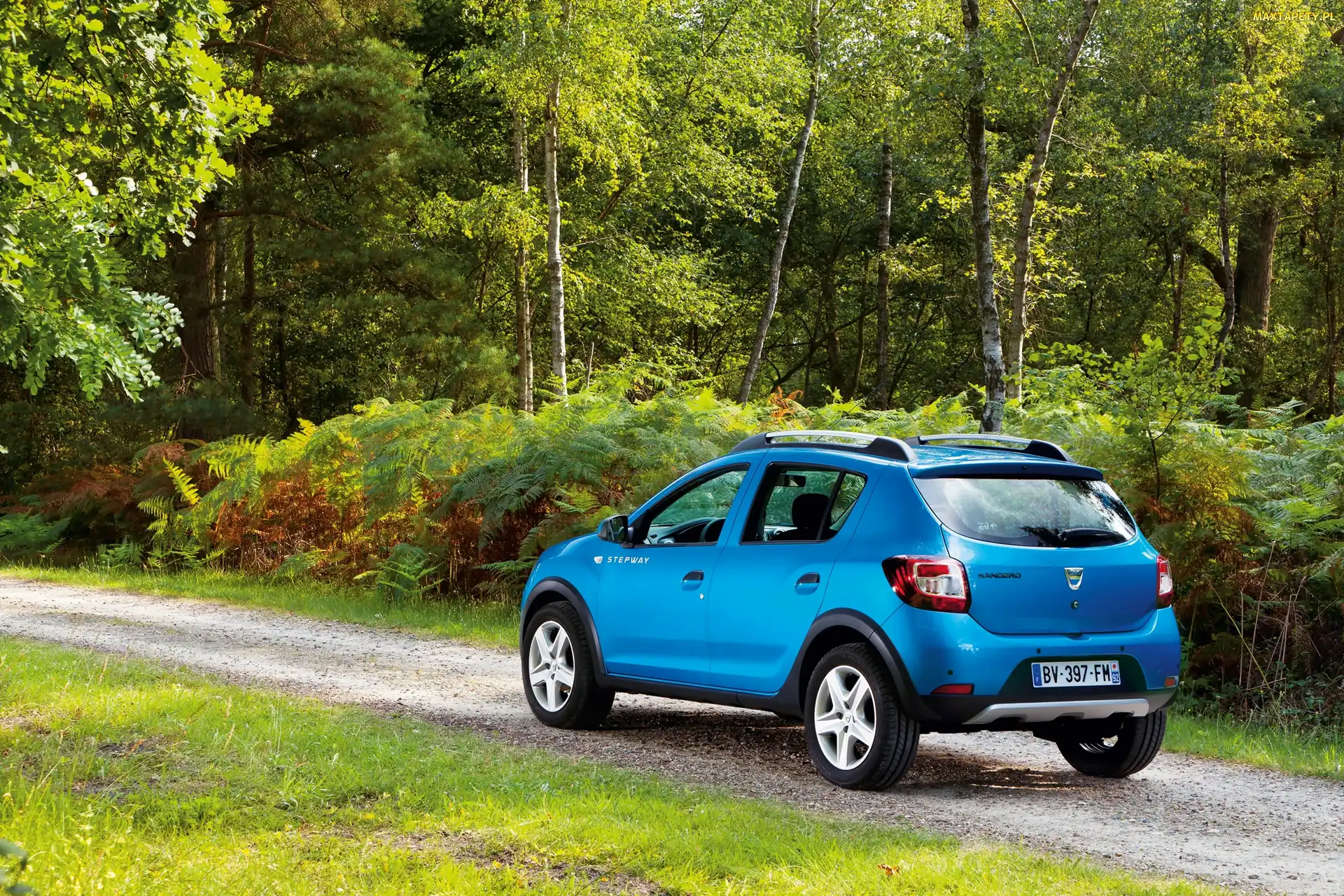 Dacia Sandero, Tył, Niebieska
