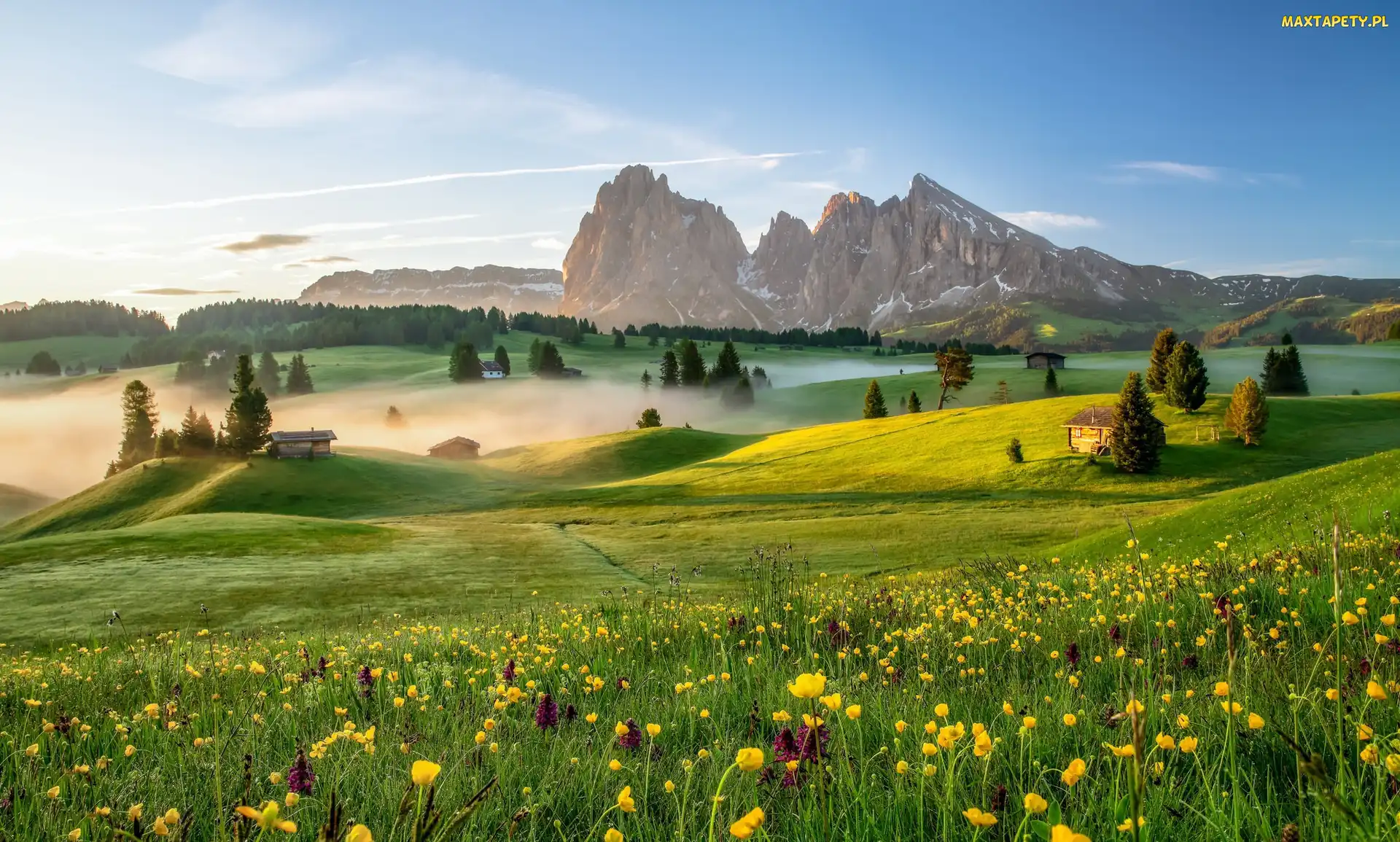 Drzewa, Łąka, Domy, Kwiaty, Góry Sassolungo, Dolina Val Gardena, Włochy, Dolomity, Płaskowyż Seiser Alm, Mgła