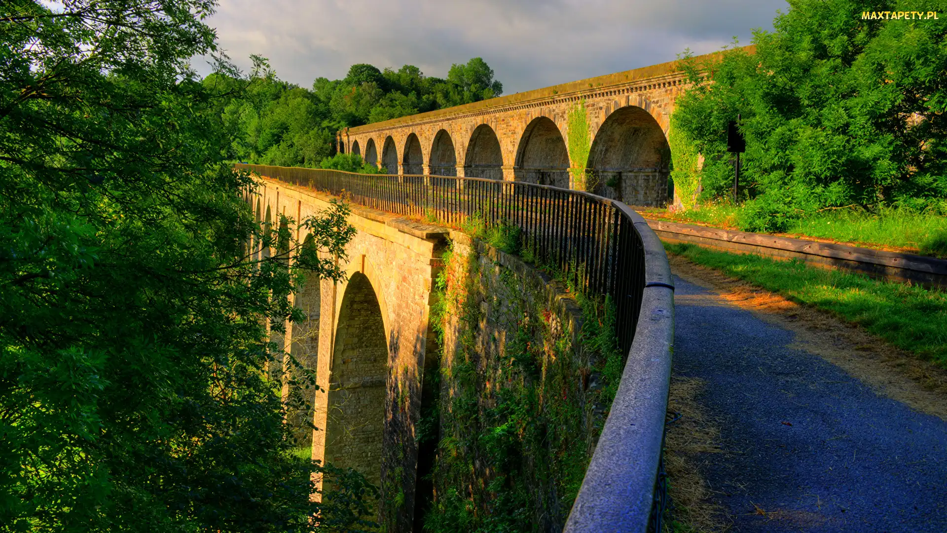 Roślinność, Droga, Ogrodzenie, Drzewa, Atrakcja Chirk Aqueduct, Wiadukt, Miejscowość Chirk, Hrabstwo Shropshire, Most, Walia