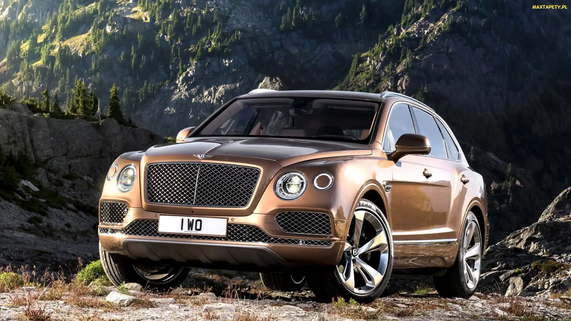 SUV, Przód, Bentley Bentayga