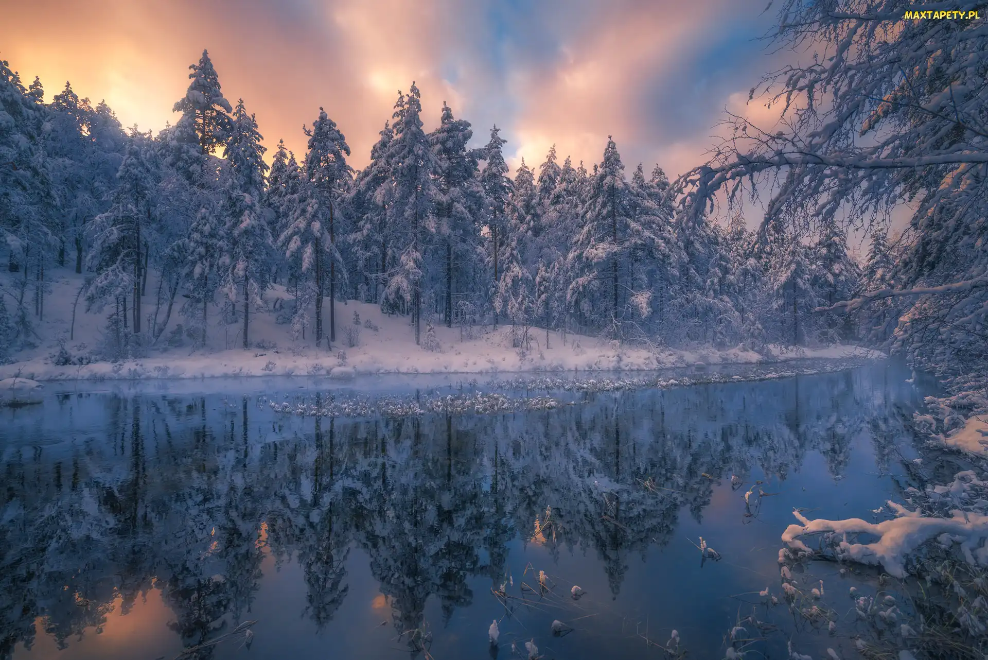 Gmina Ringerike, Zachód słońca, Norwegia, Zima, Las, Śnieg, Drzewa, Jezioro