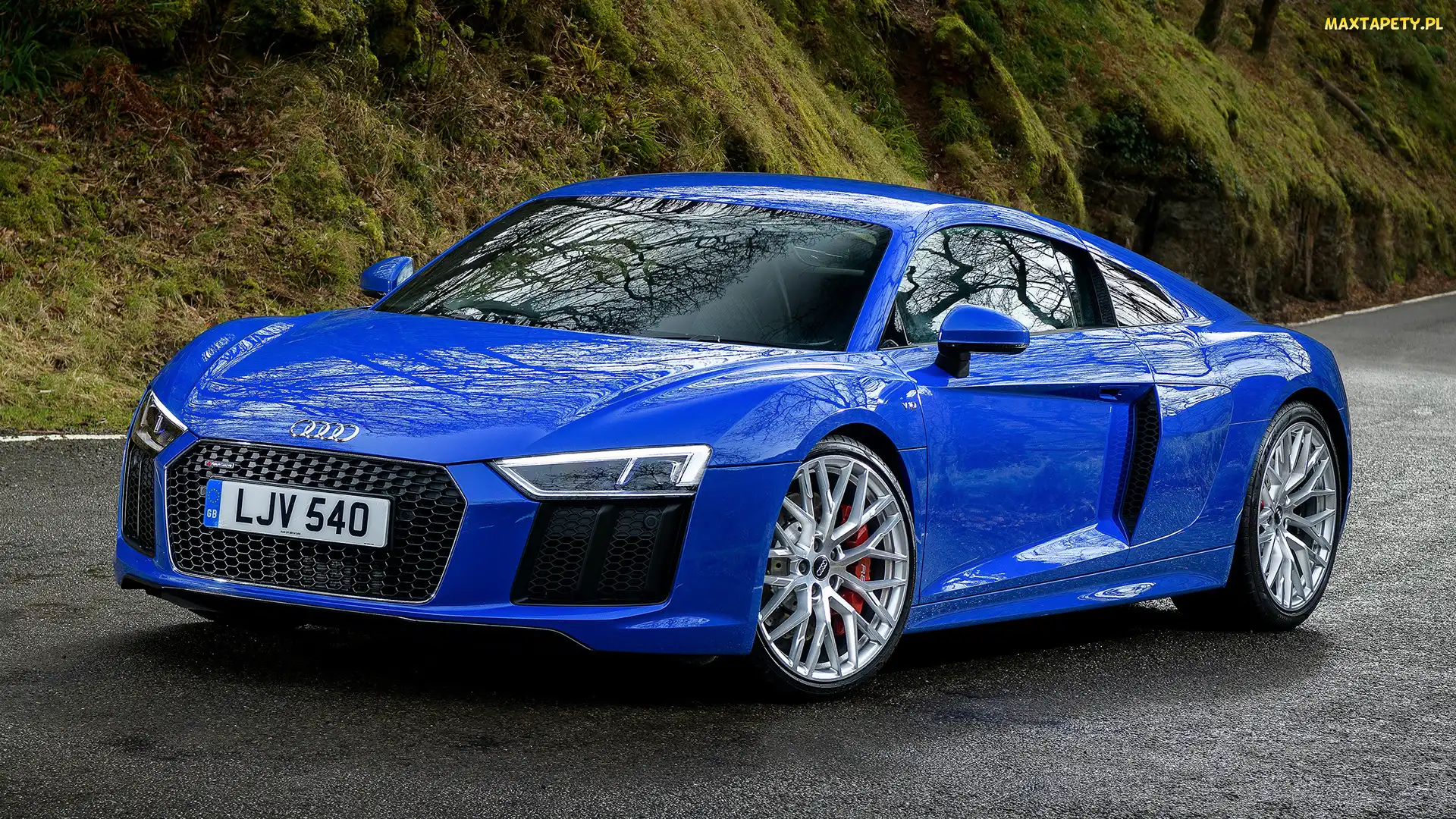 Audi R8, Coupe, Niebieskie